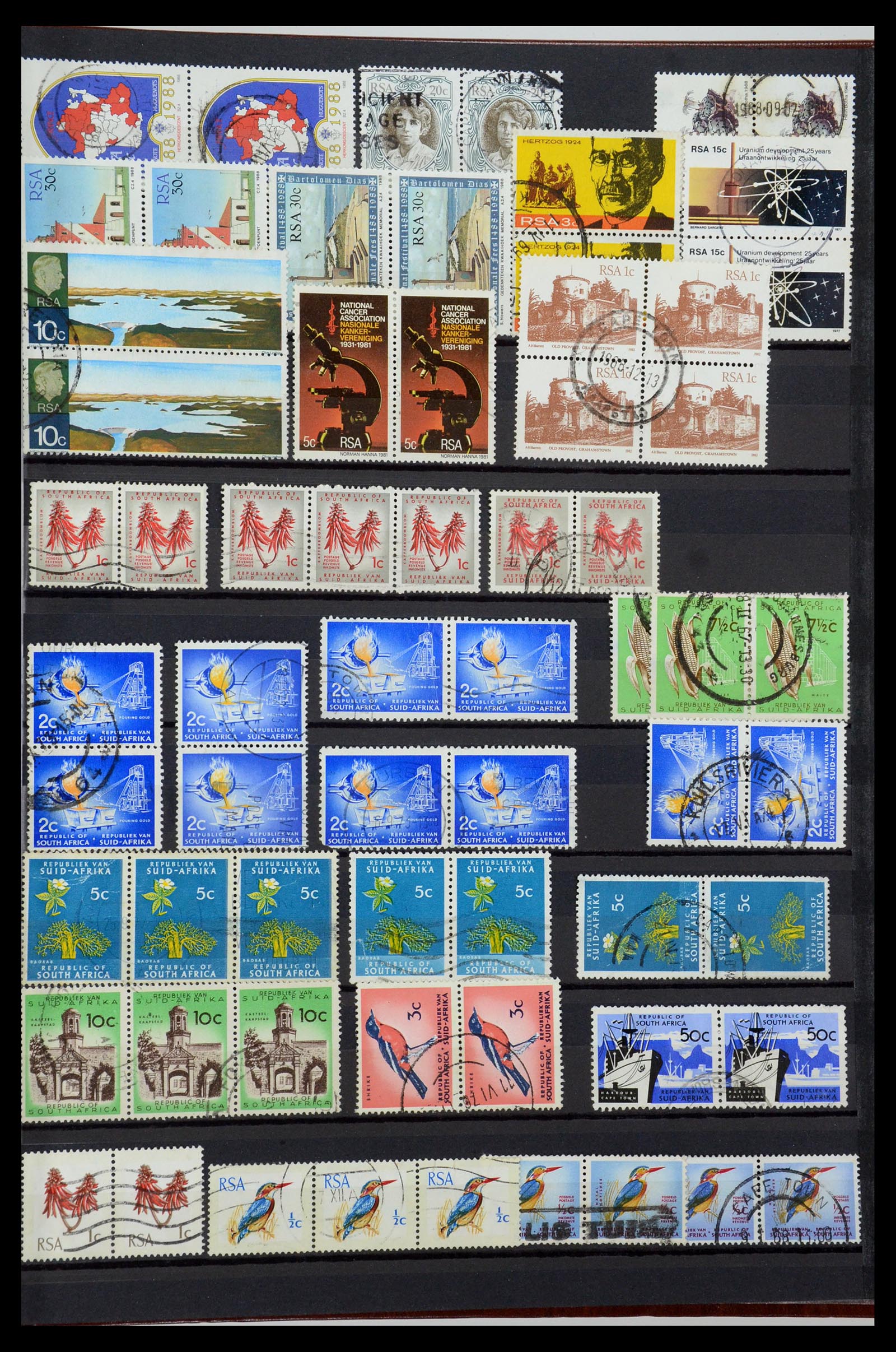 35242 184 - Postzegelverzameling 35242 Zuid Afrika en gebieden 1860-2000.
