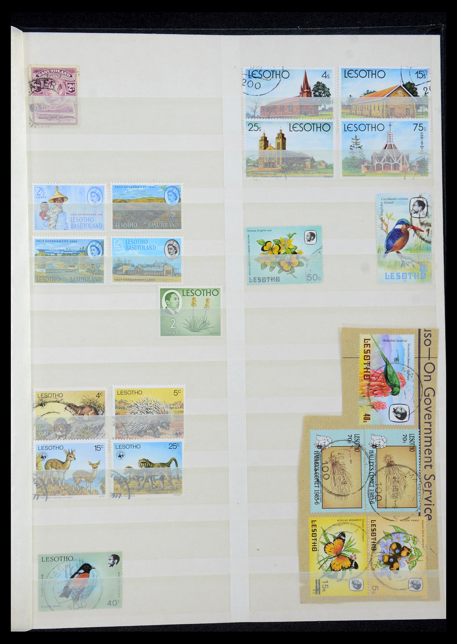 35242 203 - Postzegelverzameling 35242 Zuid Afrika en gebieden 1860-2000.