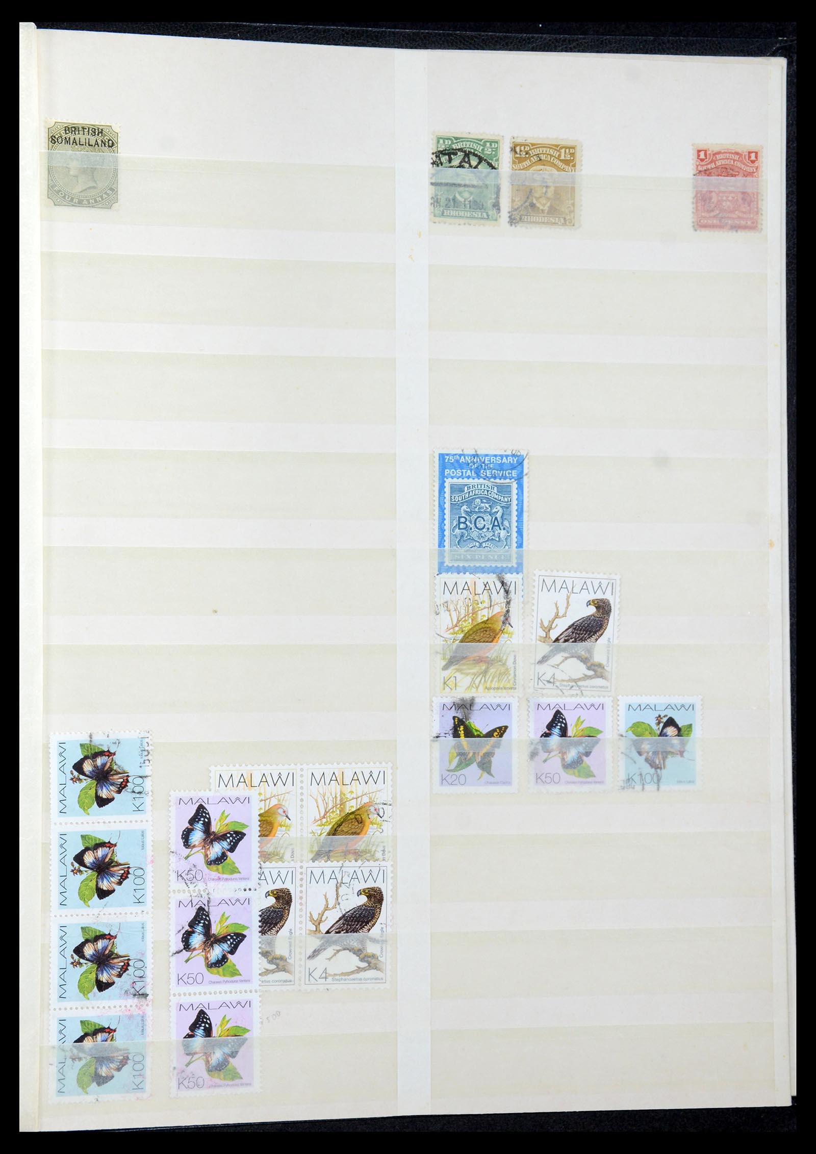 35242 215 - Postzegelverzameling 35242 Zuid Afrika en gebieden 1860-2000.