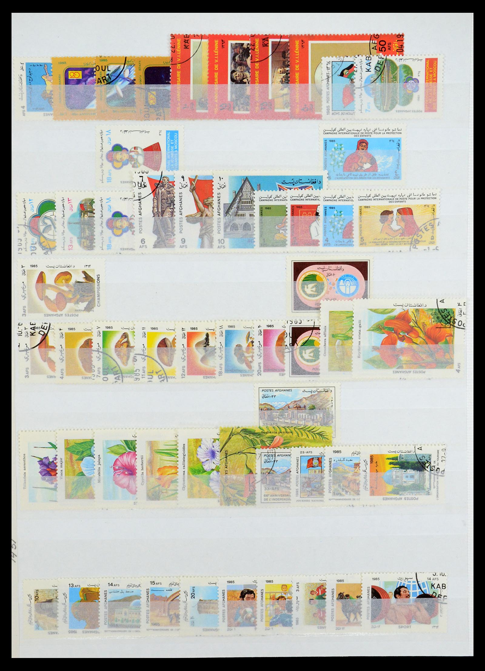 35243 030 - Postzegelverzameling 35243 Afghanistan 1870-1989.