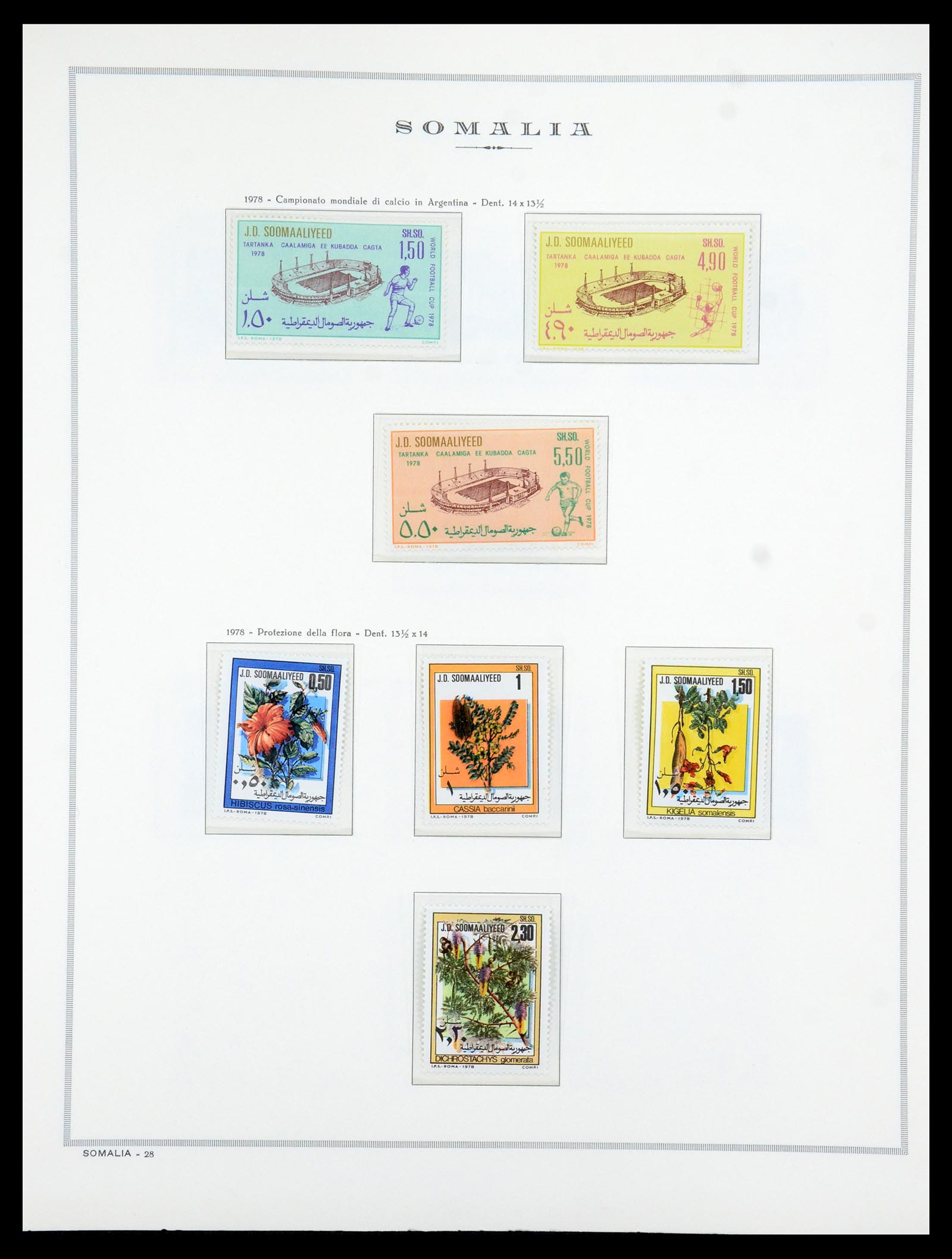 35314 029 - Postzegelverzameling 35314 Libië en Somalië 1952-1982.