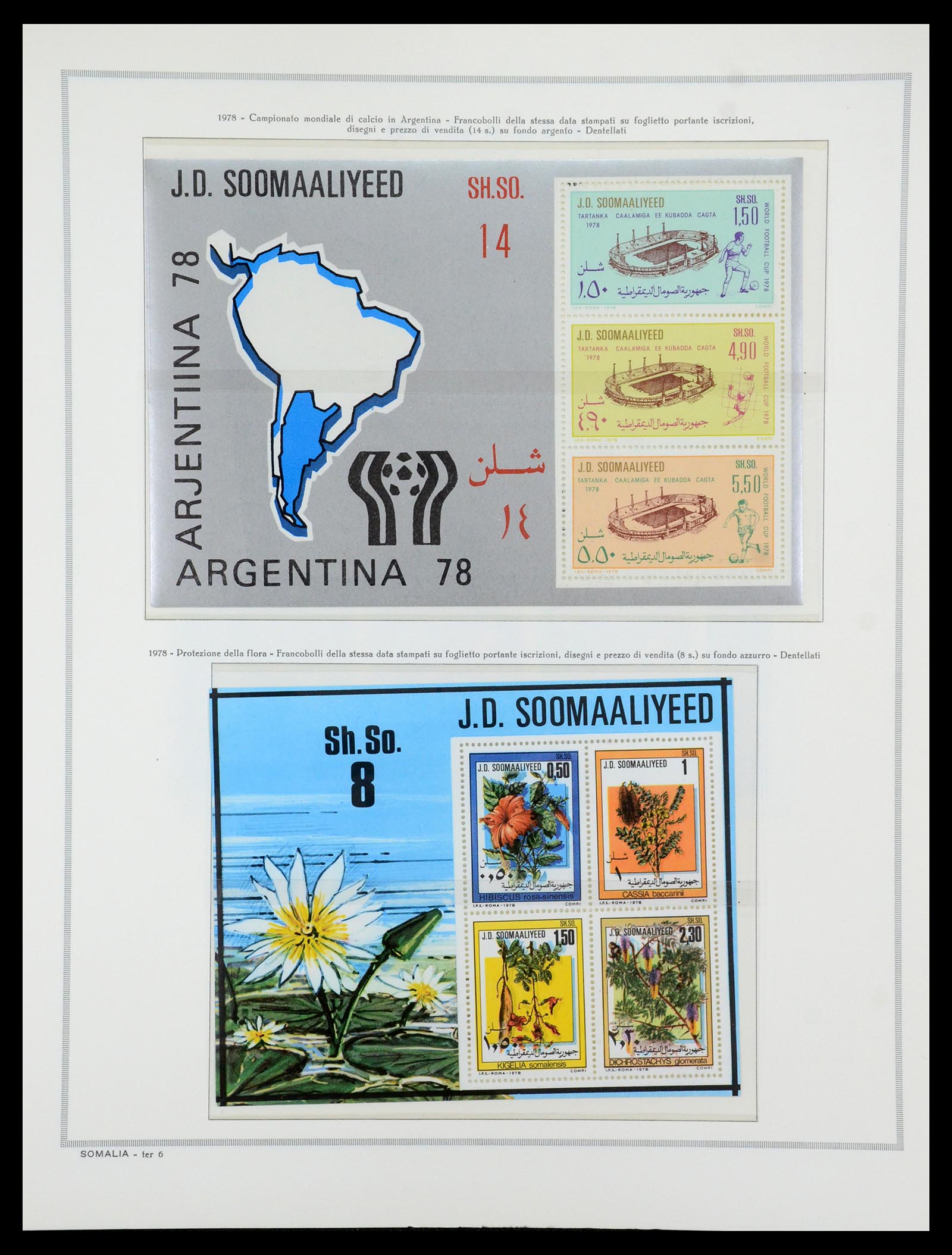 35314 047 - Postzegelverzameling 35314 Libië en Somalië 1952-1982.