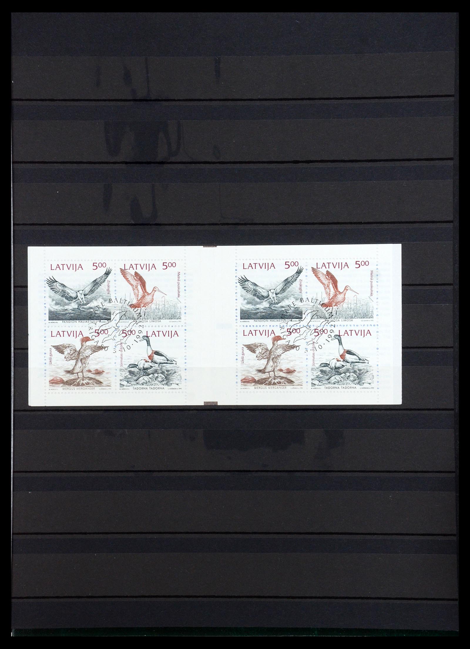 35348 049 - Postzegelverzameling 35348 Baltische Staten 1918-2019!