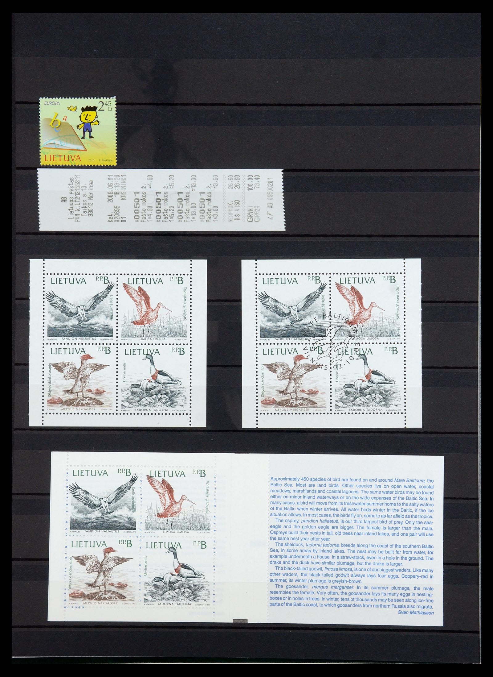 35348 081 - Postzegelverzameling 35348 Baltische Staten 1918-2019!