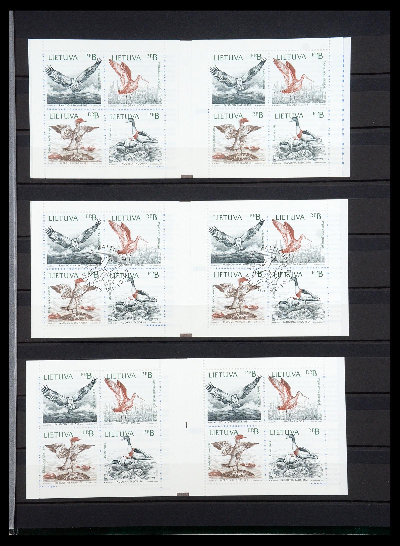 35348 082 - Postzegelverzameling 35348 Baltische Staten 1918-2019!