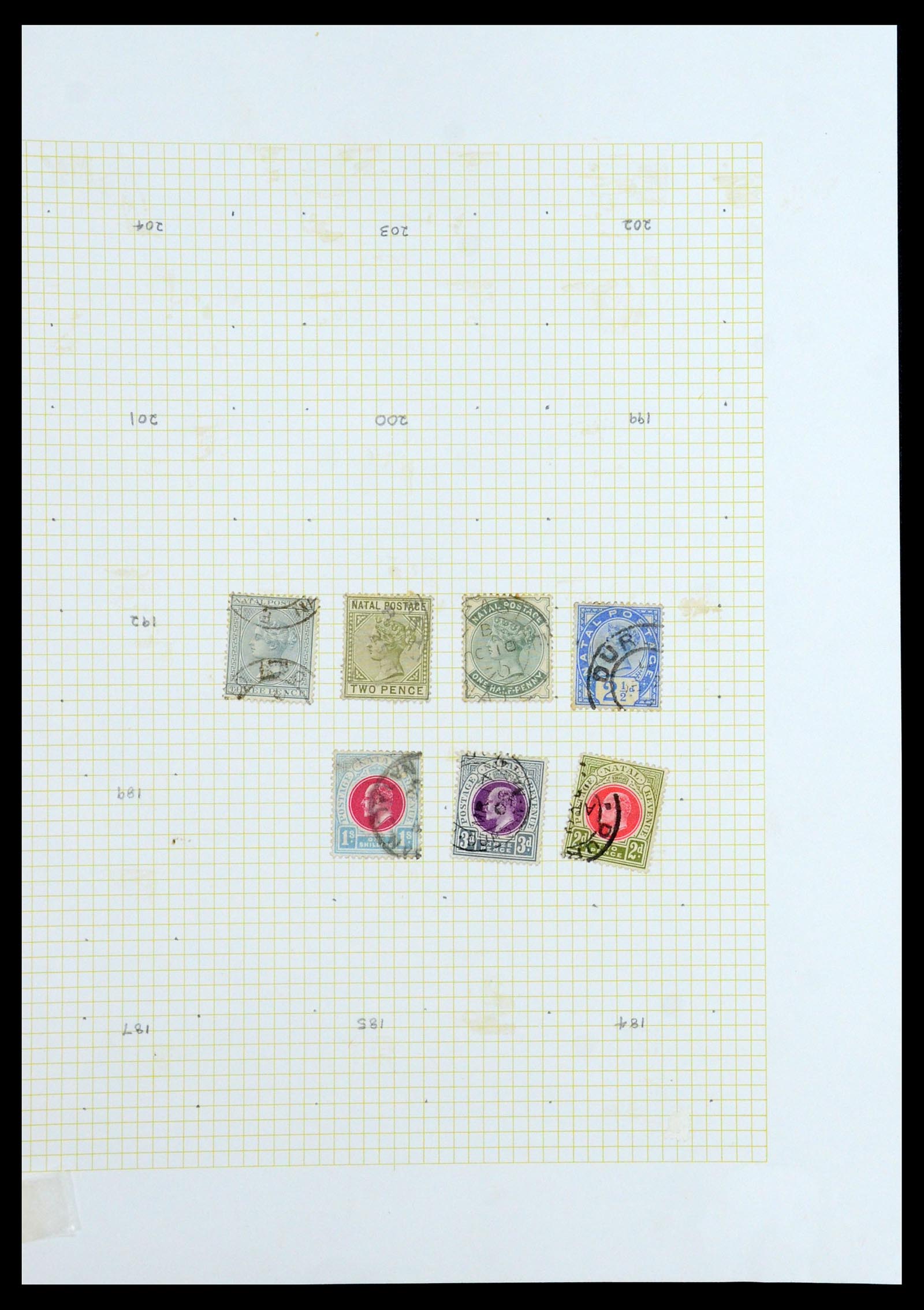 35372 205 - Postzegelverzameling 35372 Engeland en koloniën 1936-1952.