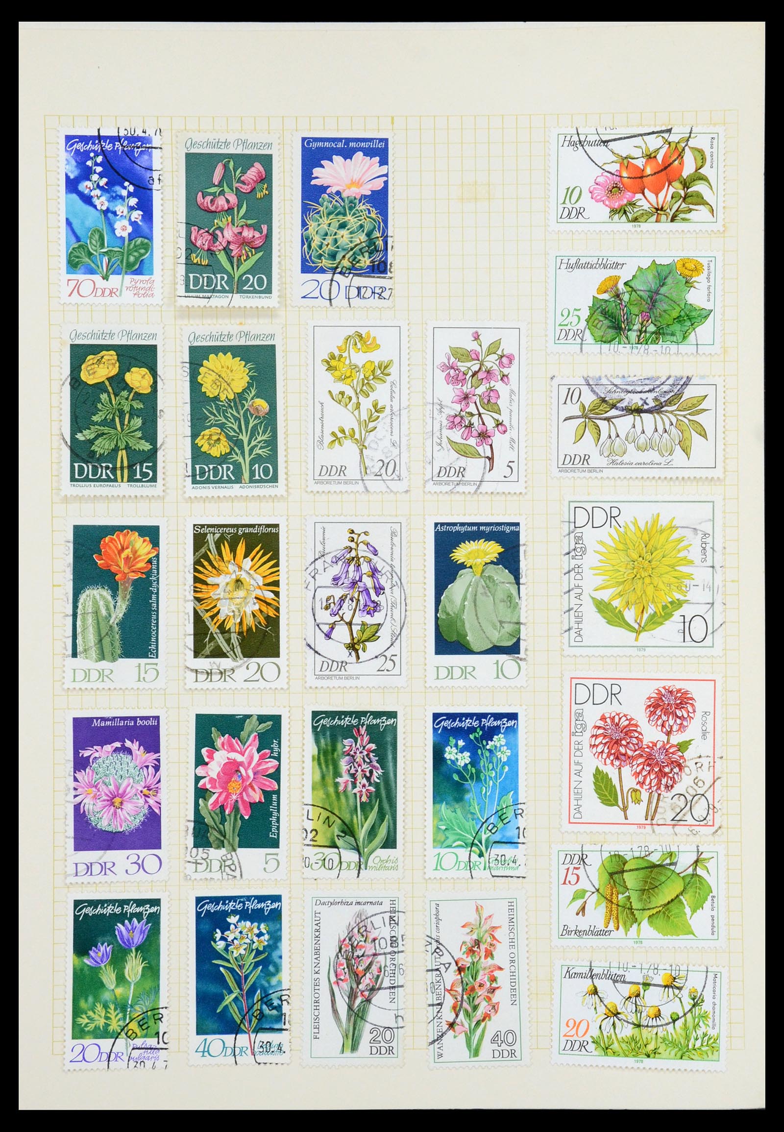 35387 071 - Postzegelverzameling 35387 Sovjet Zone en DDR 1945-1980.