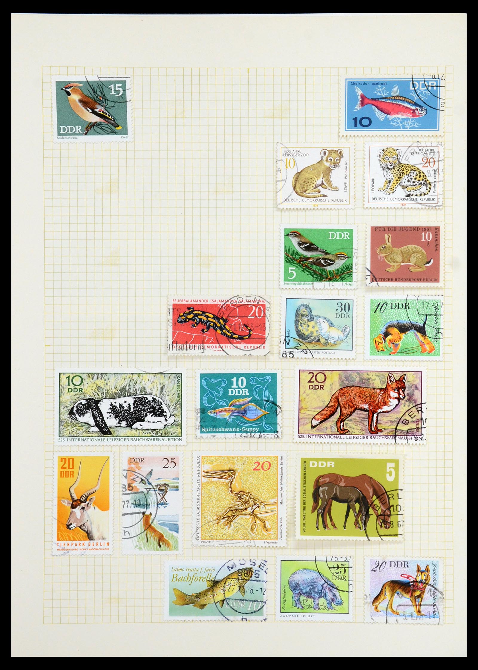 35387 074 - Postzegelverzameling 35387 Sovjet Zone en DDR 1945-1980.