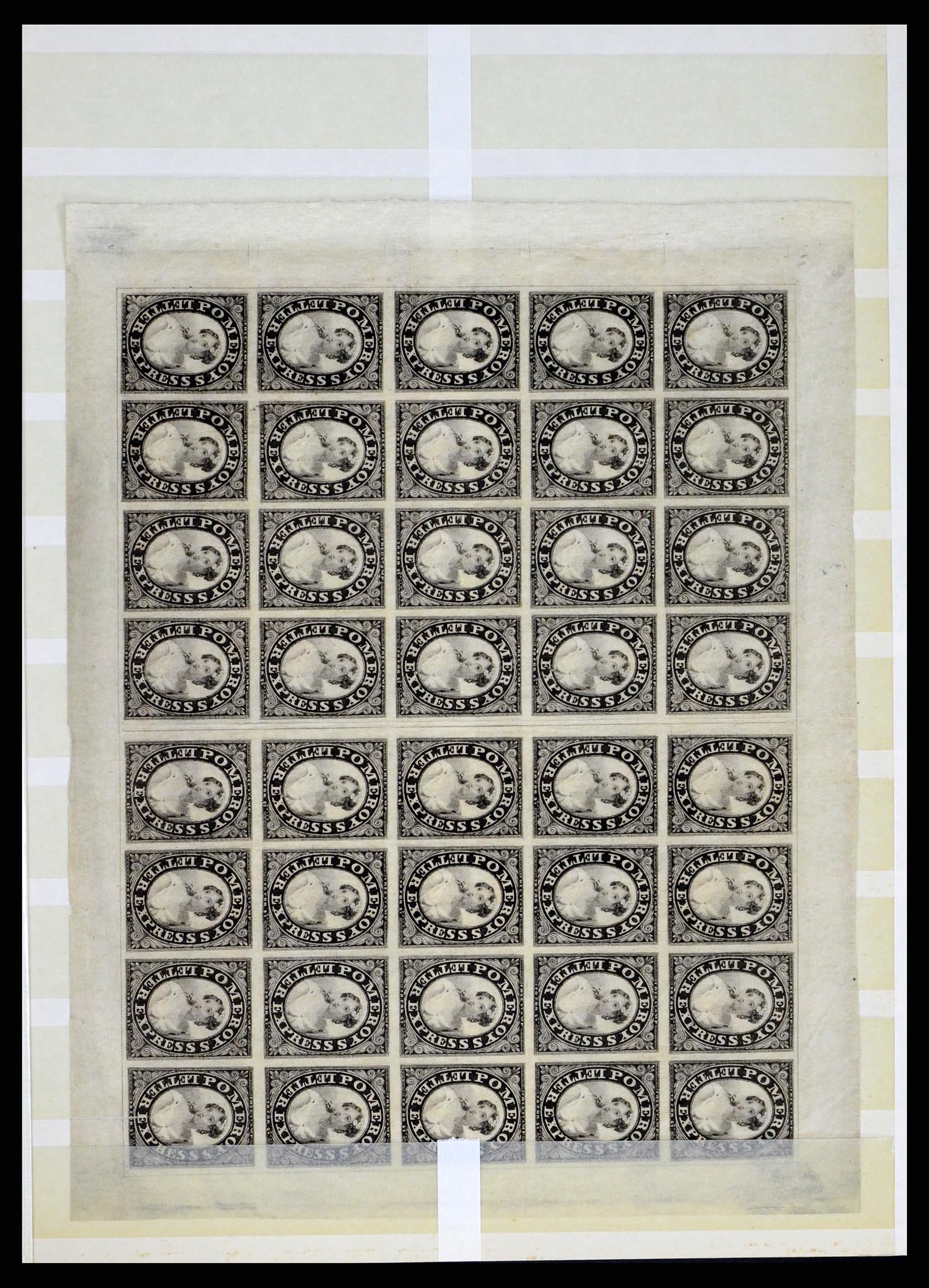 35520 060 - Postzegelverzameling 35520 USA local/carrier stamps 1851-1883.