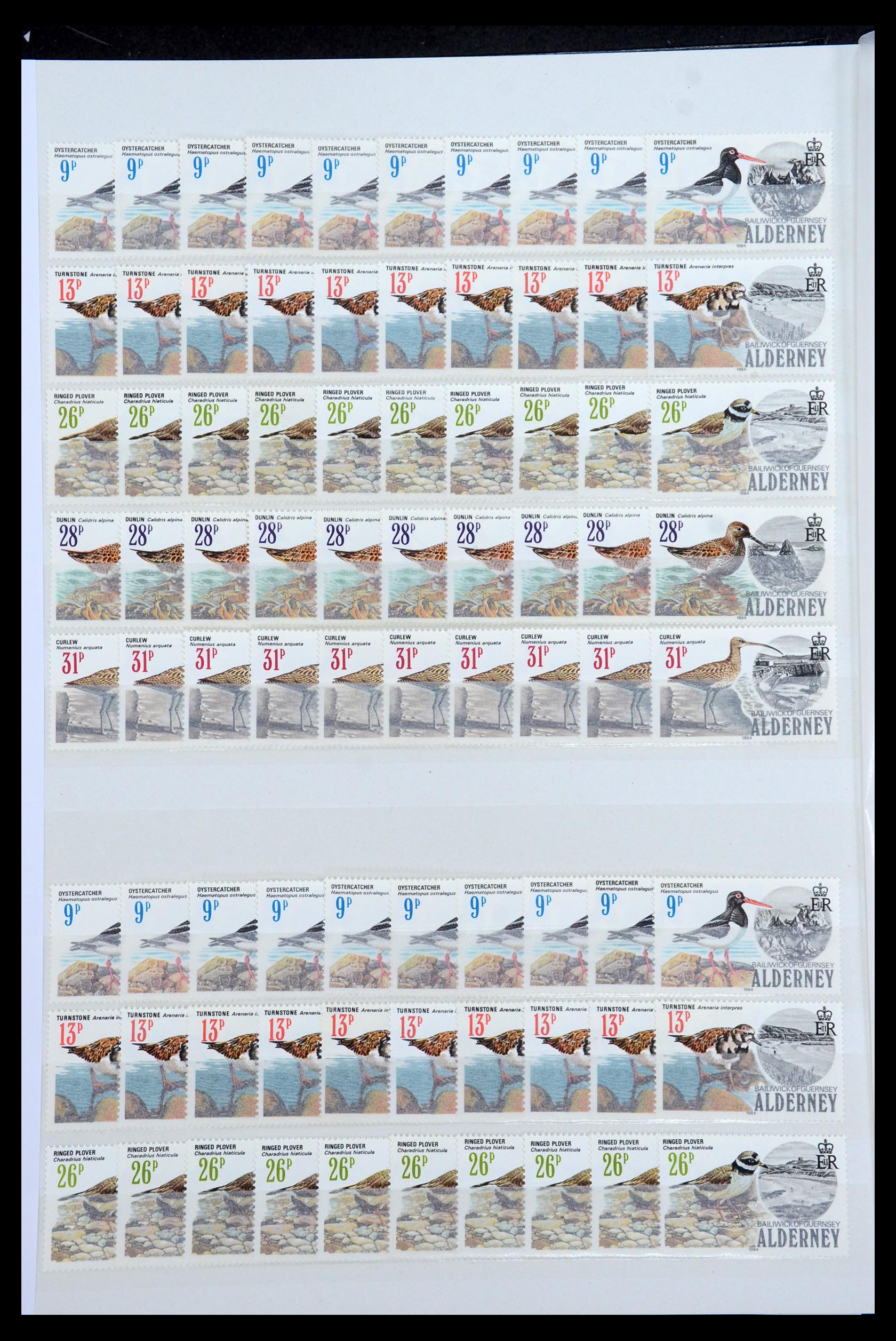 35529 016 - Postzegelverzameling 35529 Alderney1983-2014!