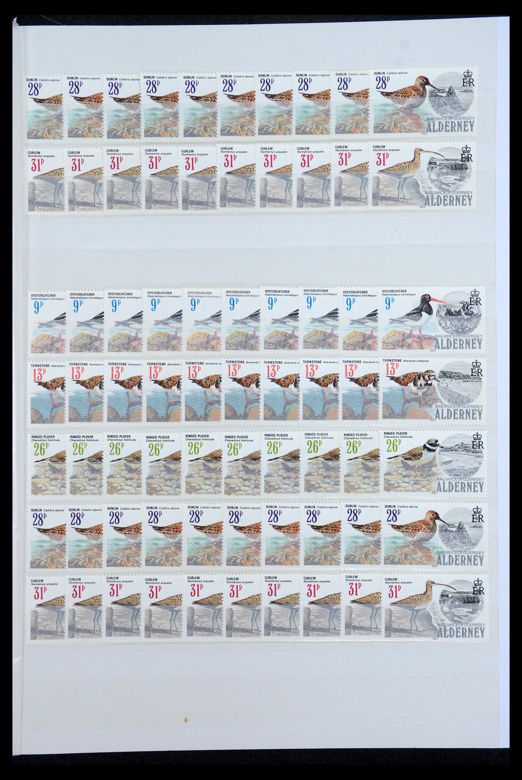 35529 017 - Postzegelverzameling 35529 Alderney1983-2014!