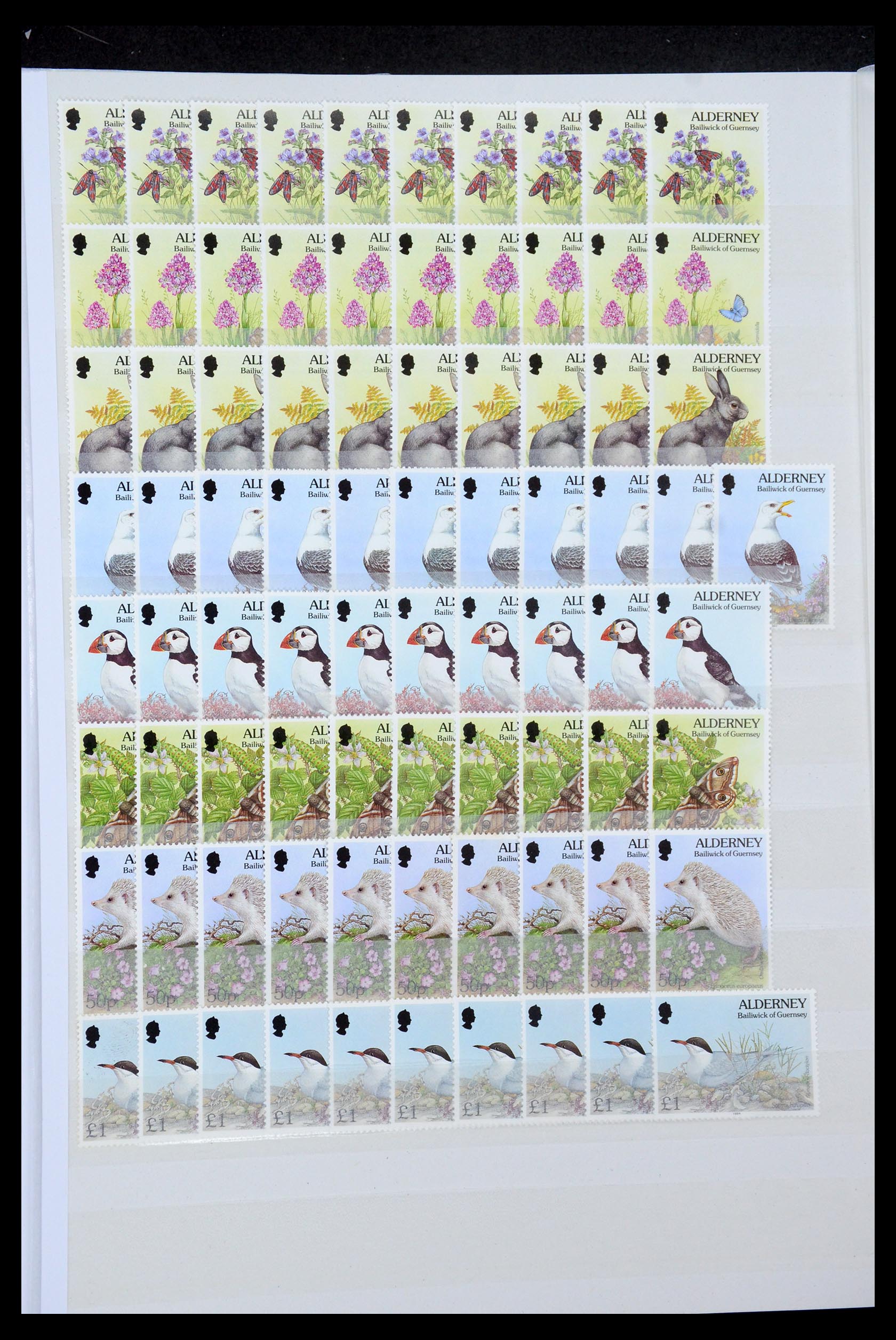 35529 048 - Stamp Collection 35529 Alderney1983-2014!