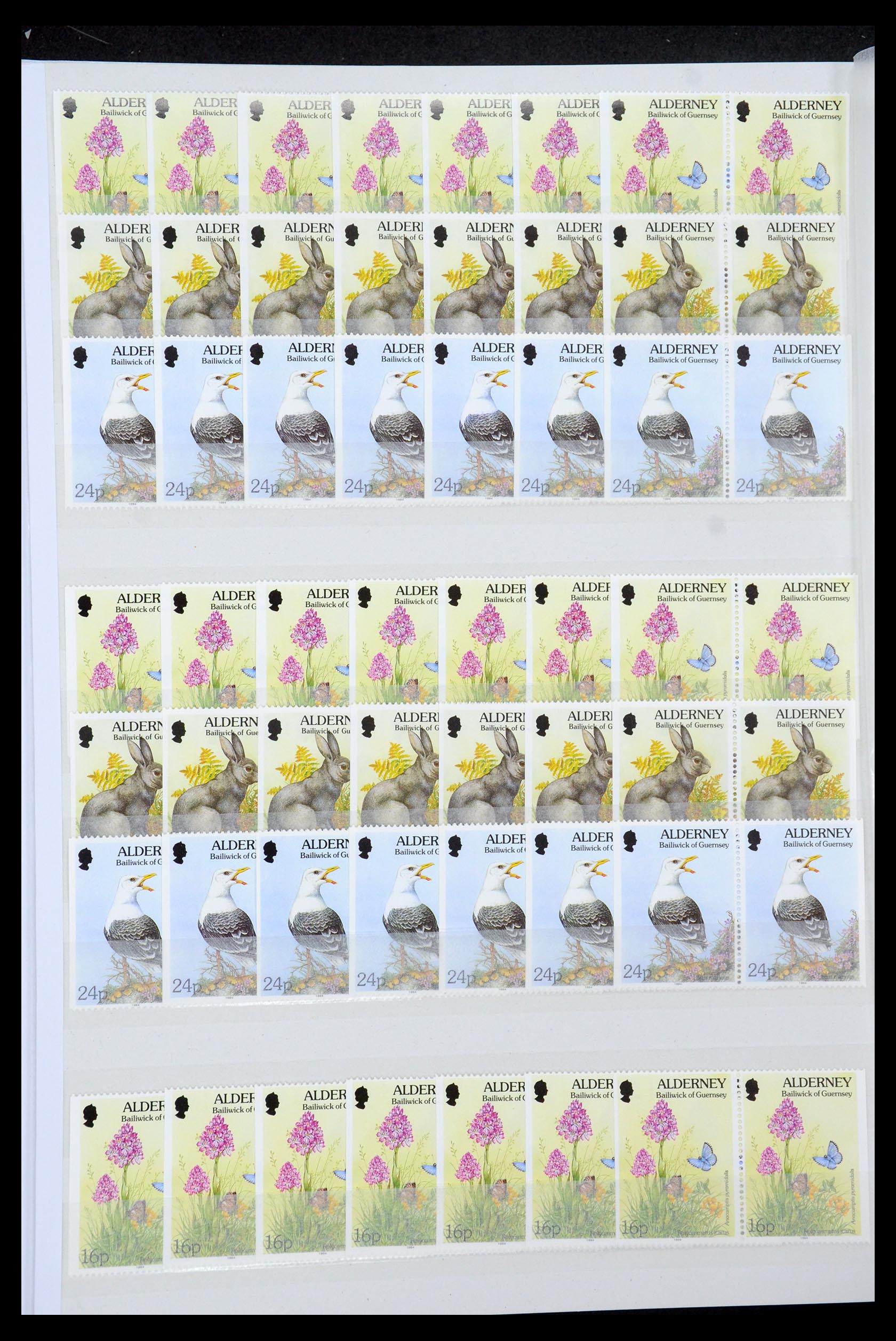 35529 050 - Postzegelverzameling 35529 Alderney1983-2014!