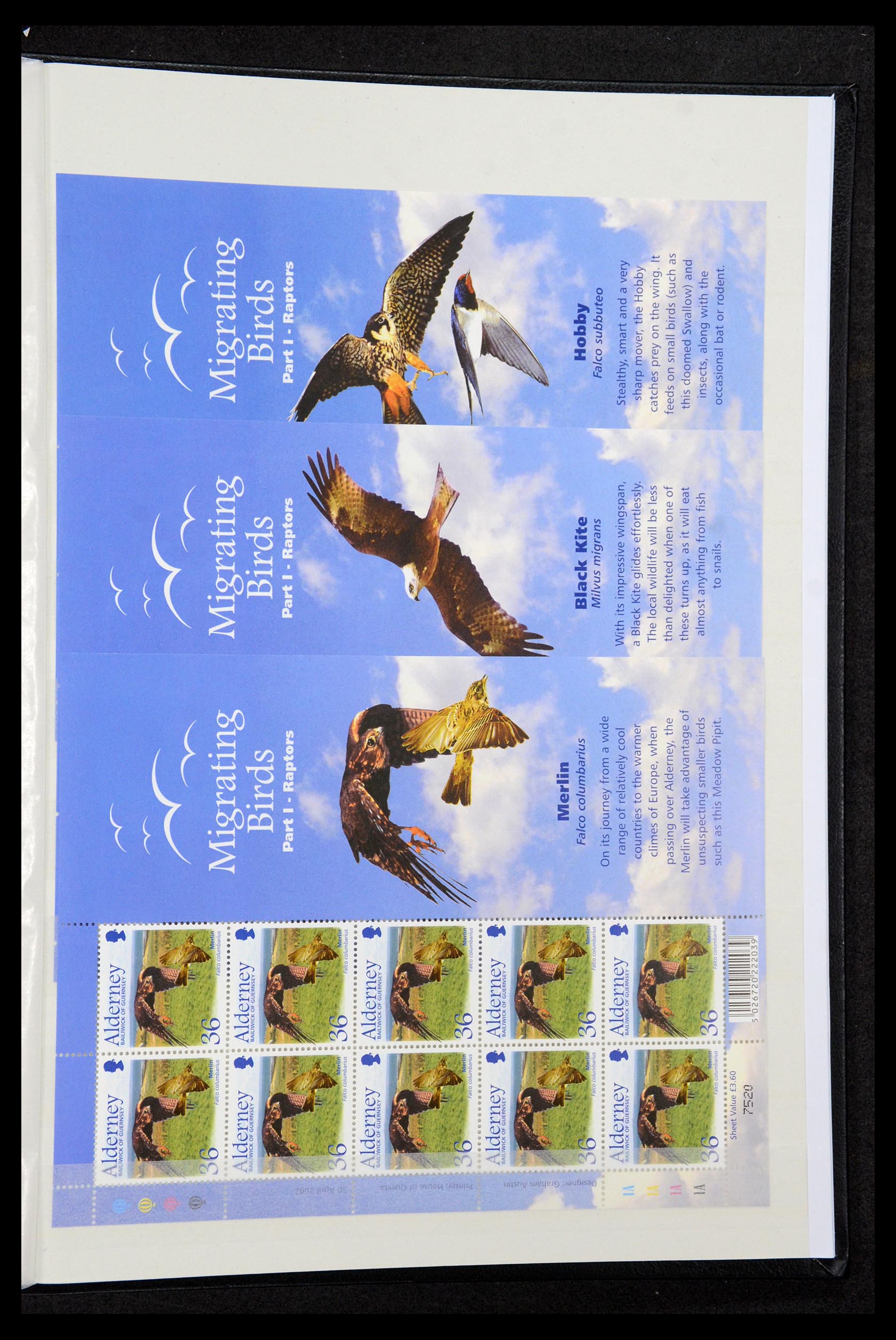 35529 125 - Stamp Collection 35529 Alderney1983-2014!