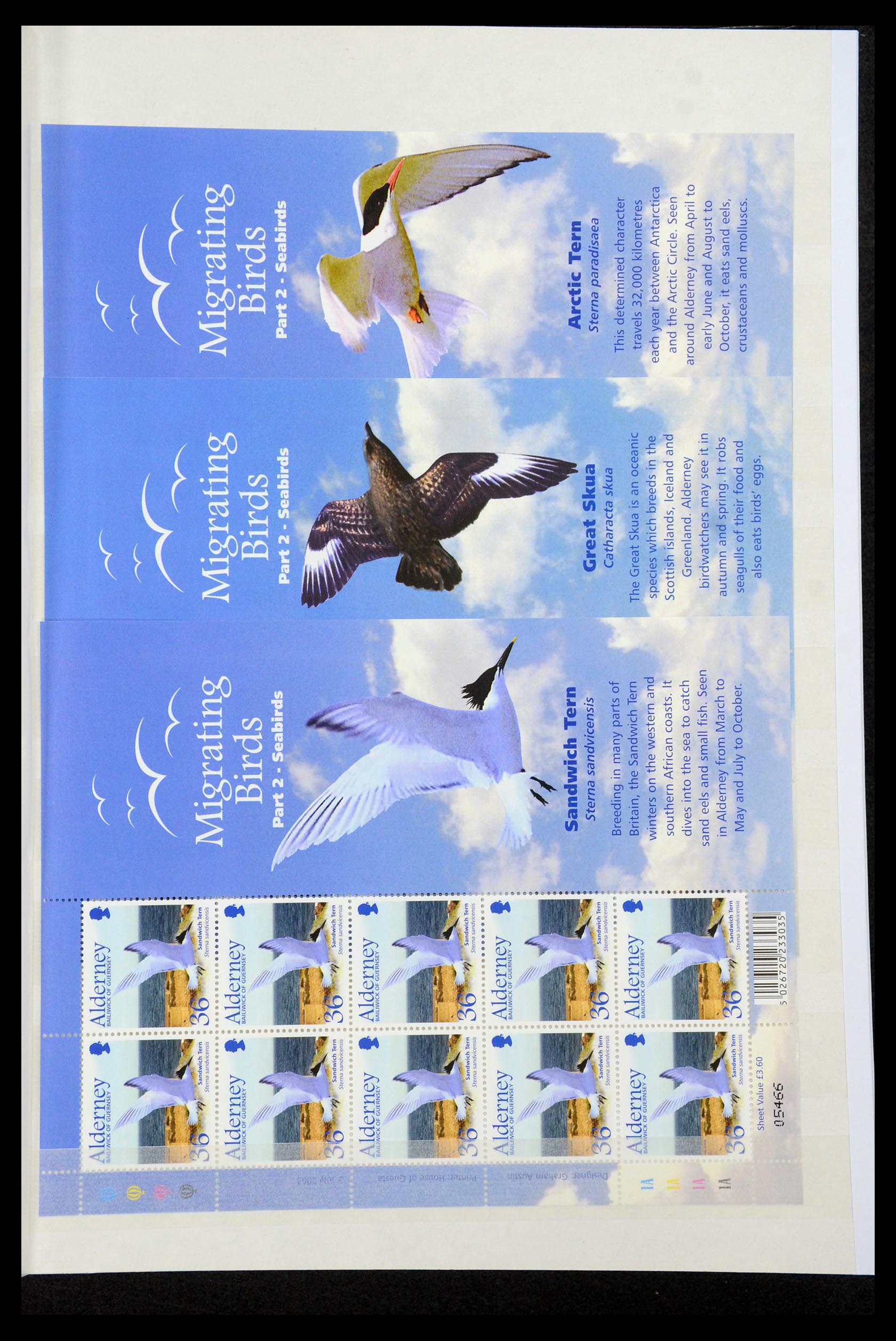 35529 133 - Stamp Collection 35529 Alderney1983-2014!