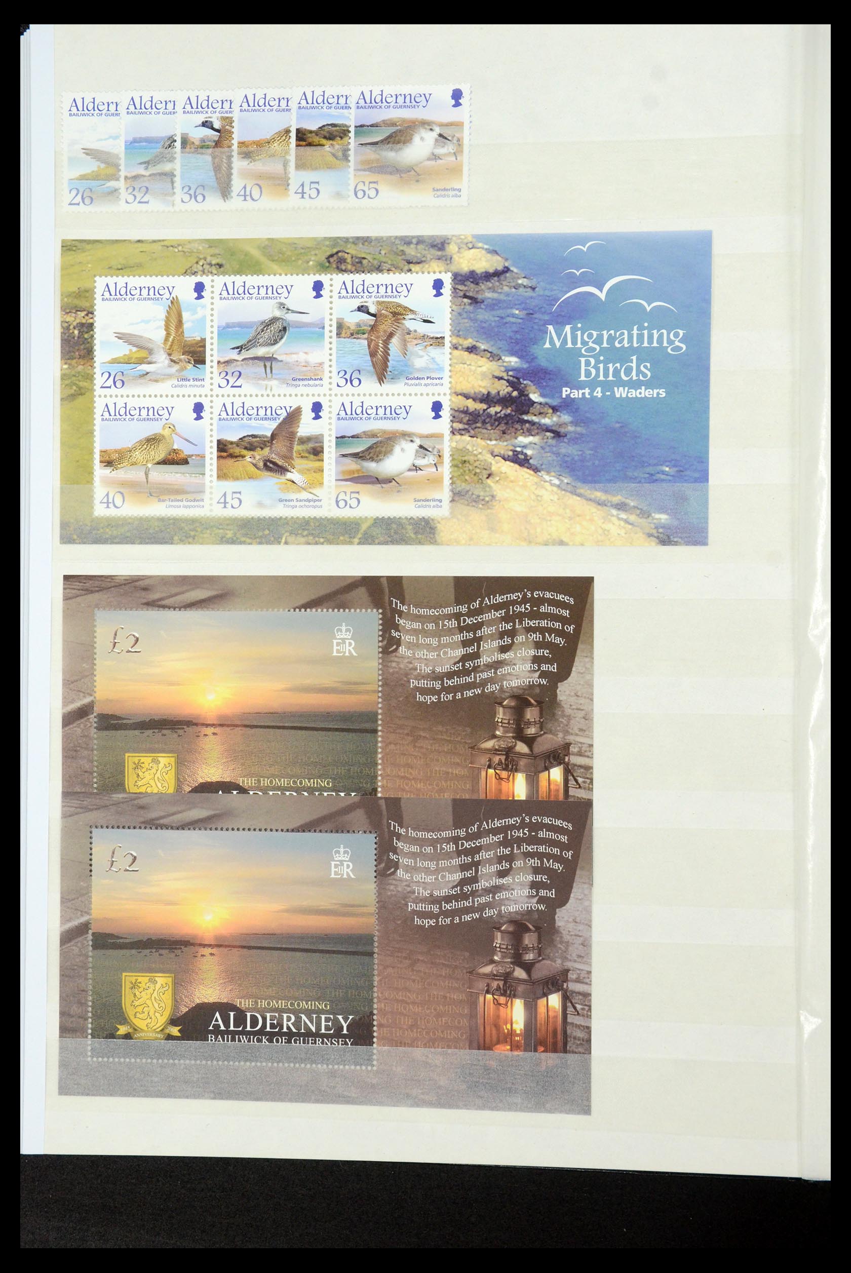 35529 148 - Stamp Collection 35529 Alderney1983-2014!