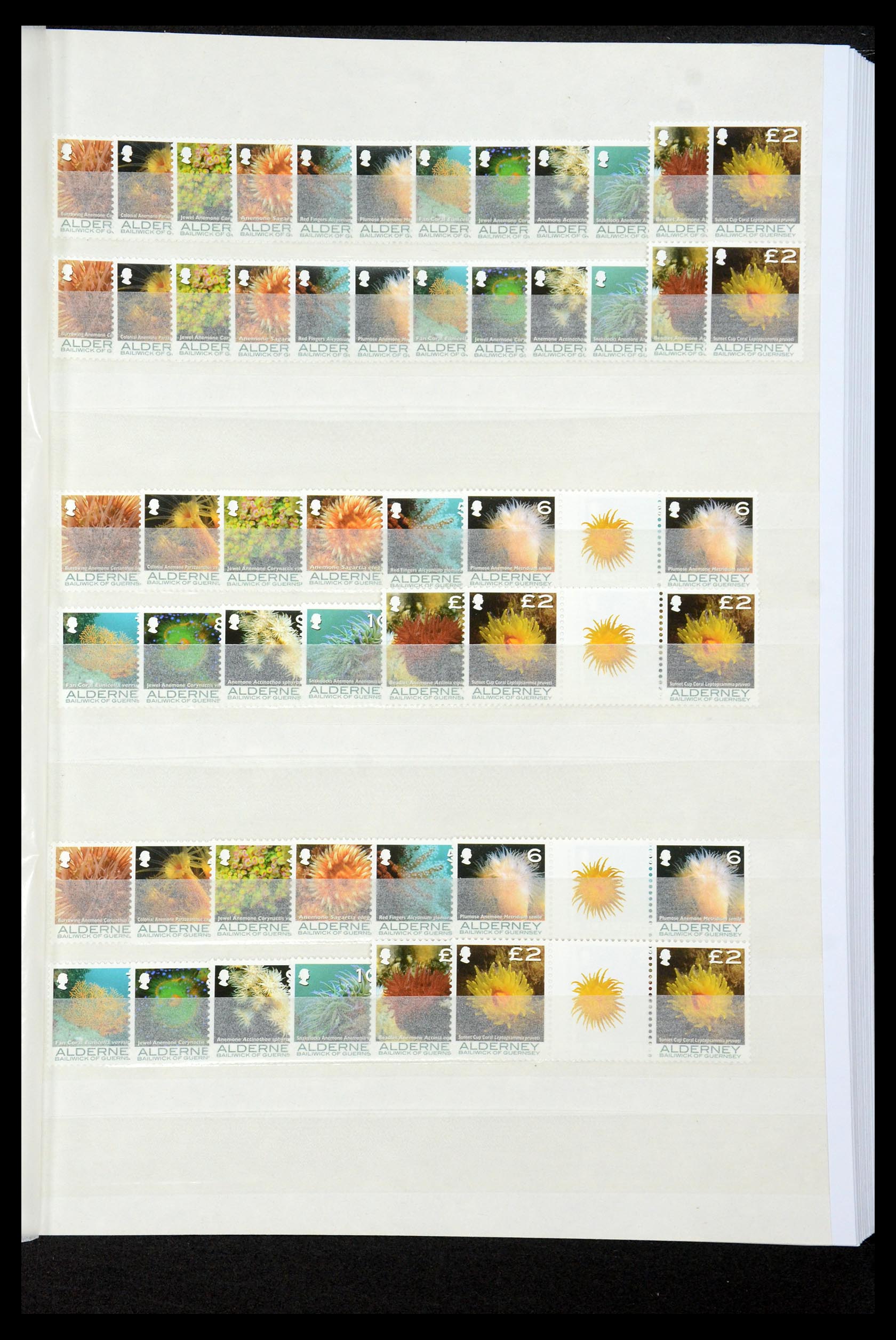 35529 161 - Stamp Collection 35529 Alderney1983-2014!