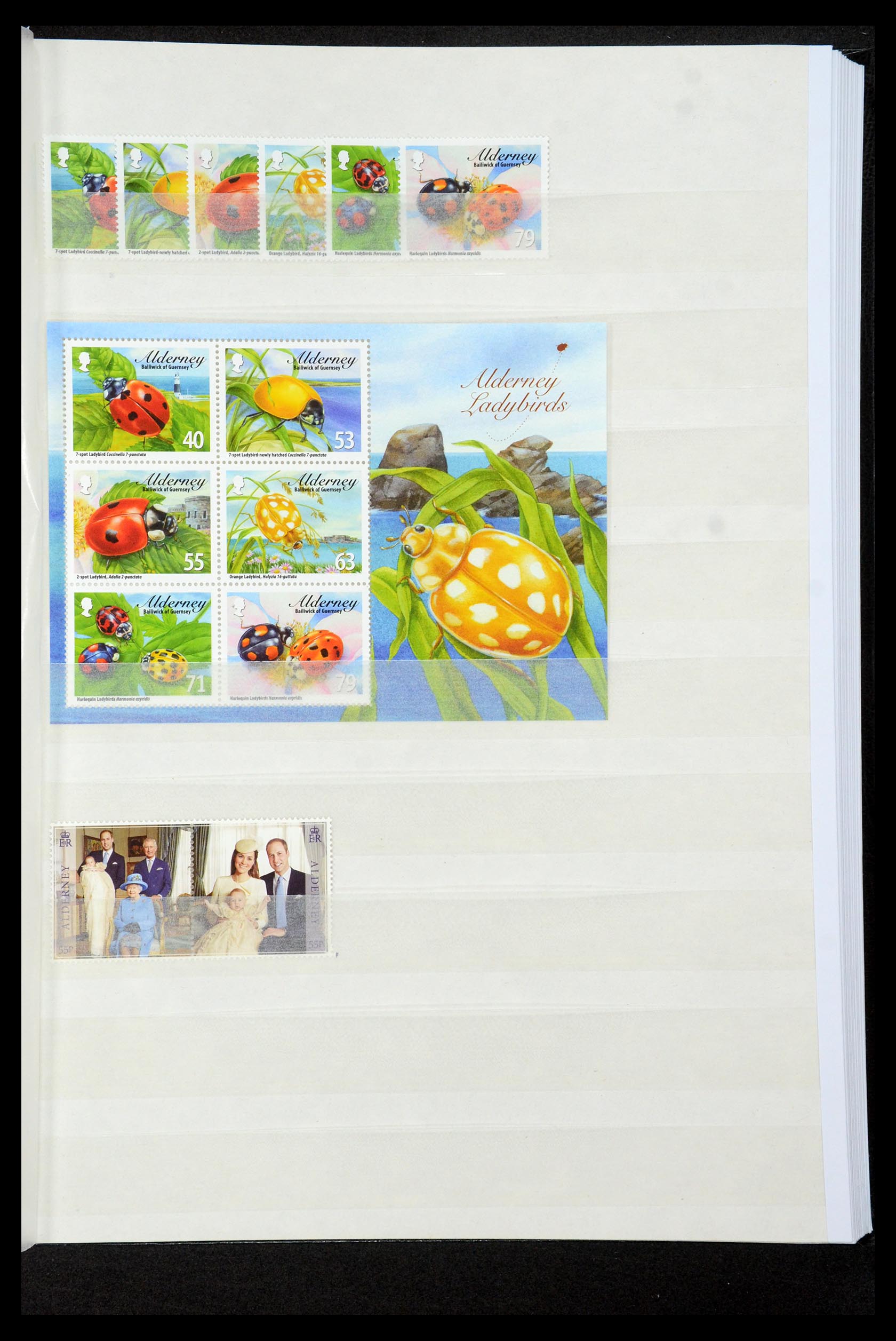 35529 165 - Postzegelverzameling 35529 Alderney1983-2014!
