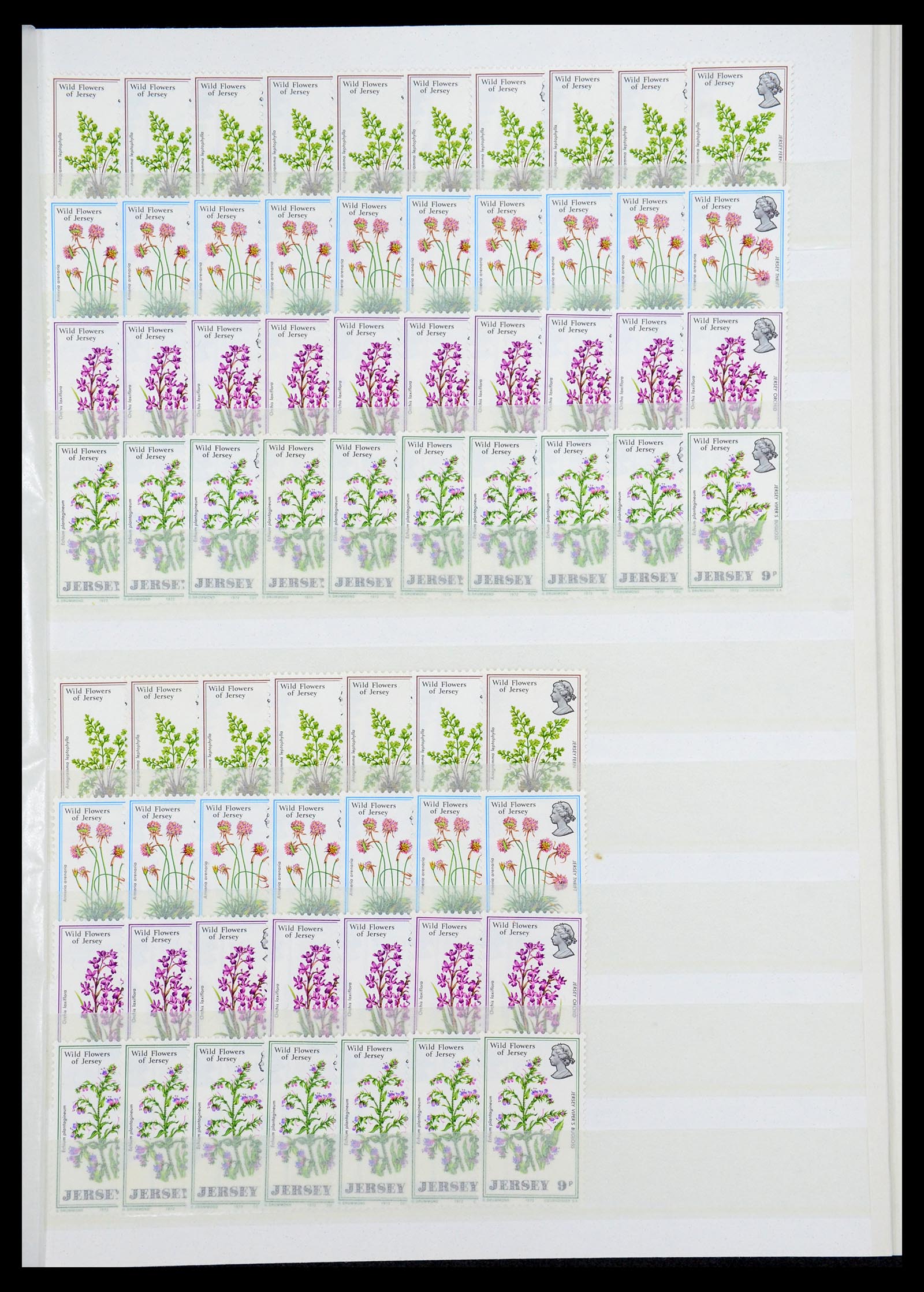 35537 017 - Stamp Collection 35537 Jersey 1941-2016!