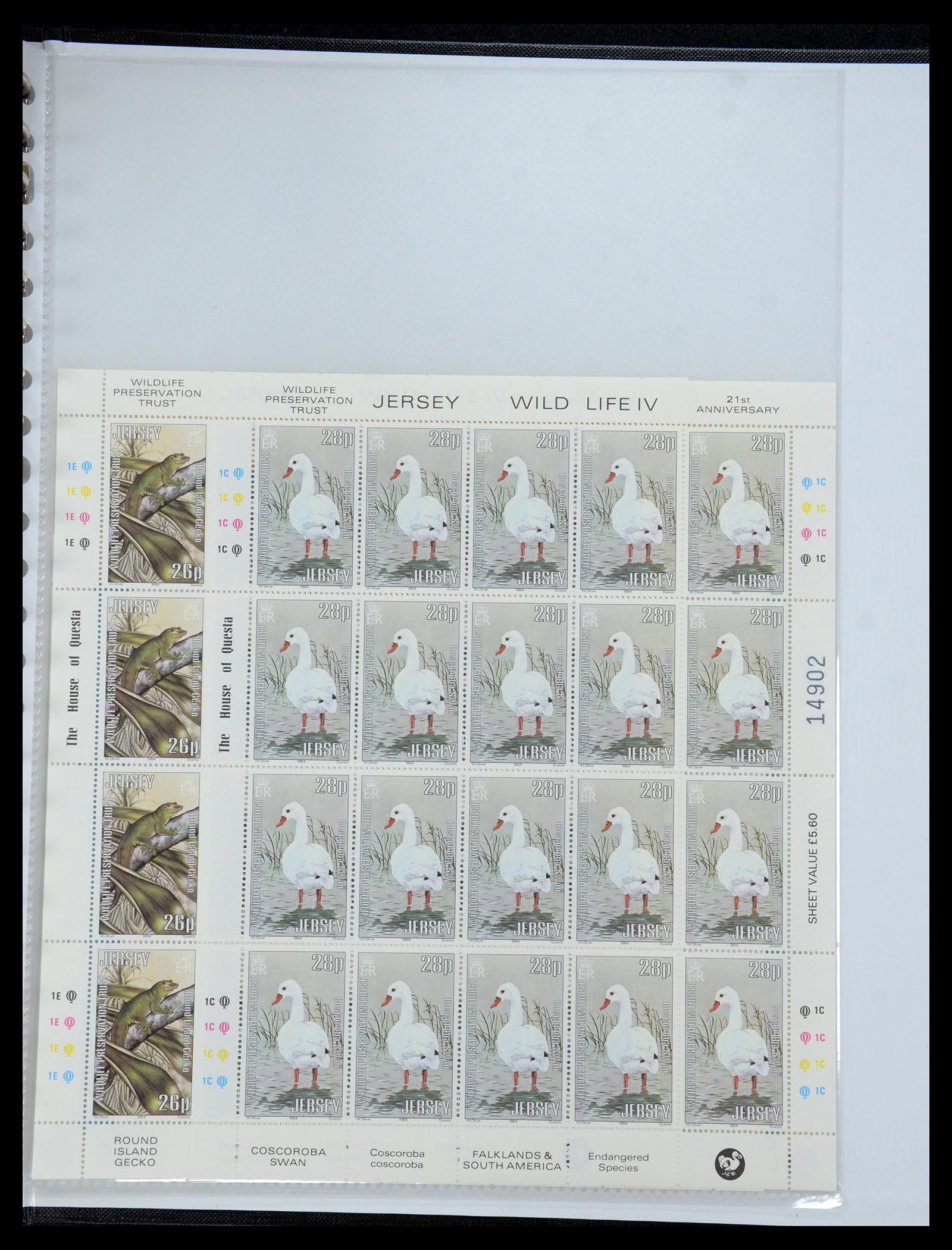 35537 250 - Stamp Collection 35537 Jersey 1941-2016!