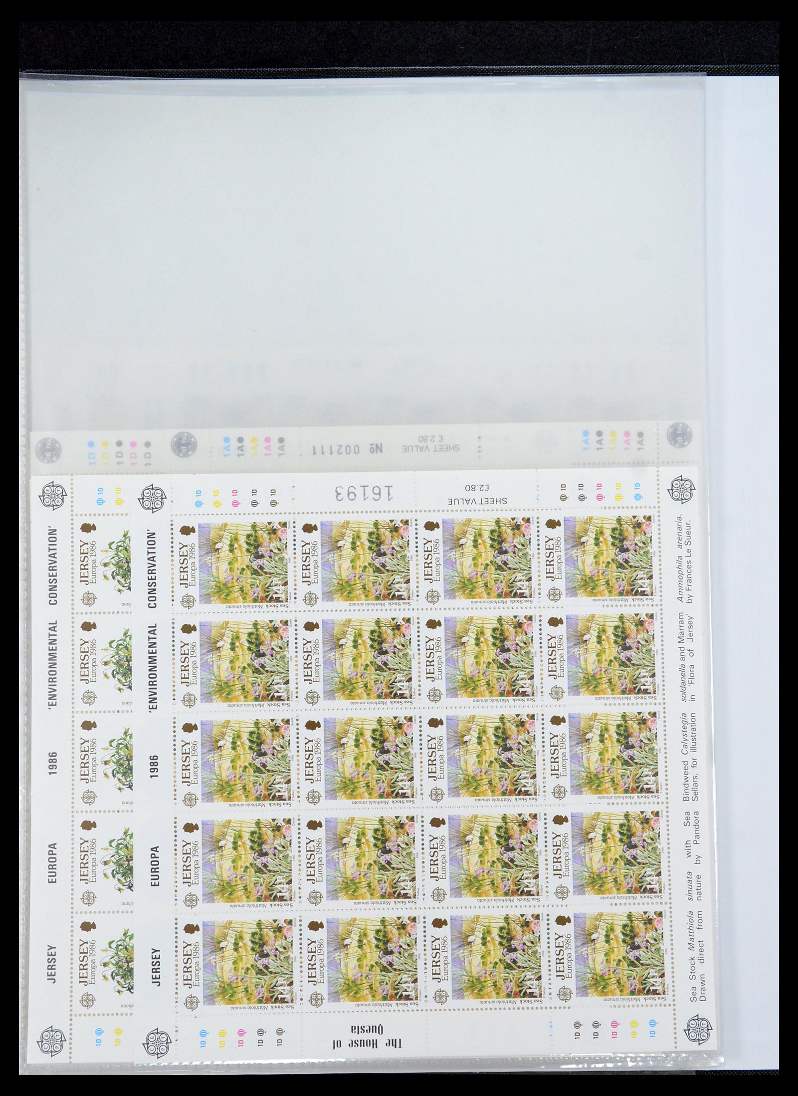 35537 291 - Stamp Collection 35537 Jersey 1941-2016!