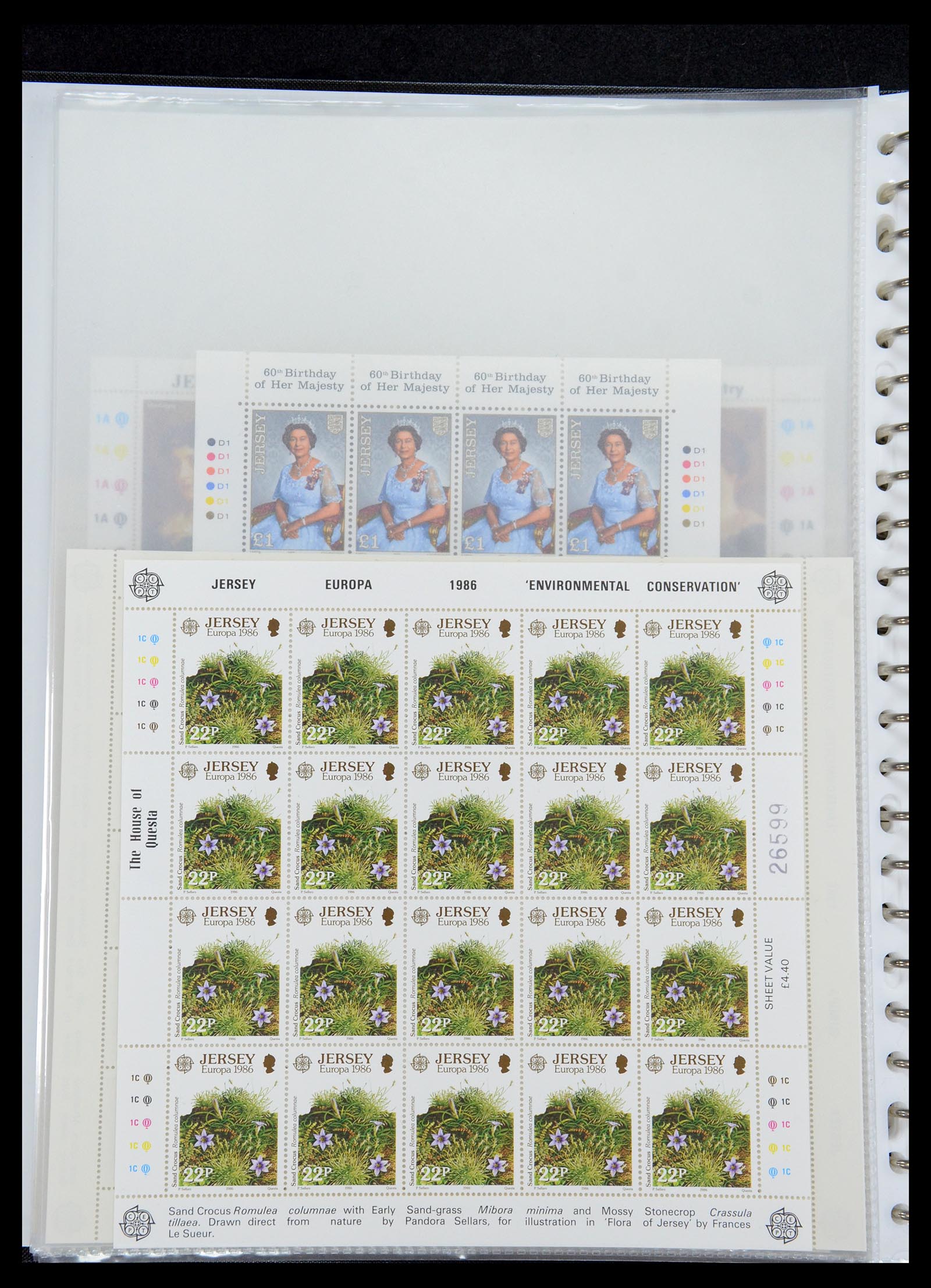 35537 292 - Stamp Collection 35537 Jersey 1941-2016!