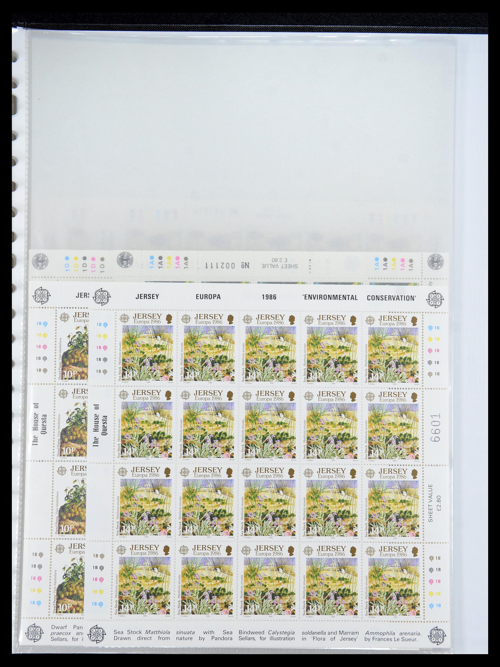 35537 293 - Stamp Collection 35537 Jersey 1941-2016!
