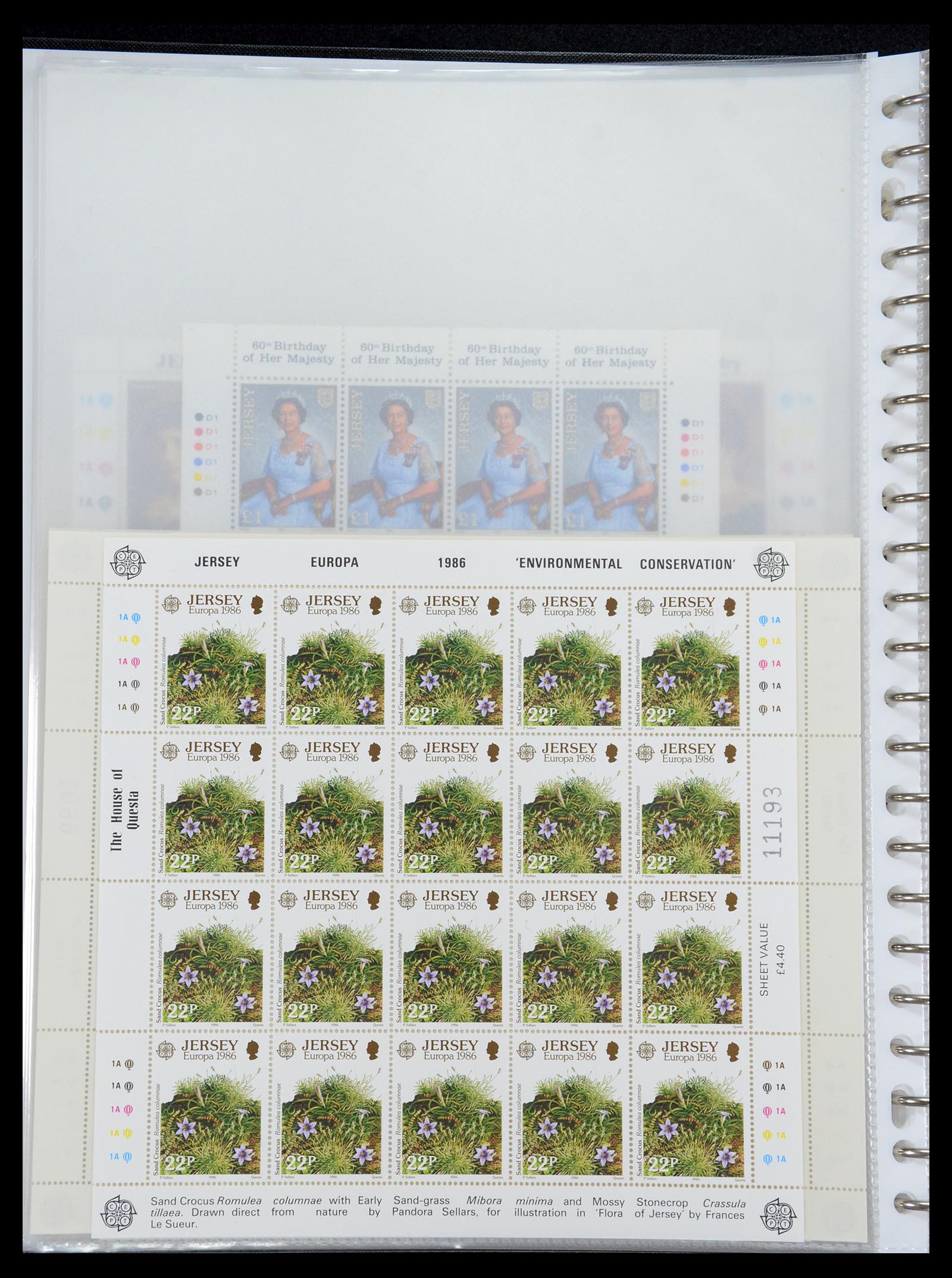 35537 294 - Stamp Collection 35537 Jersey 1941-2016!