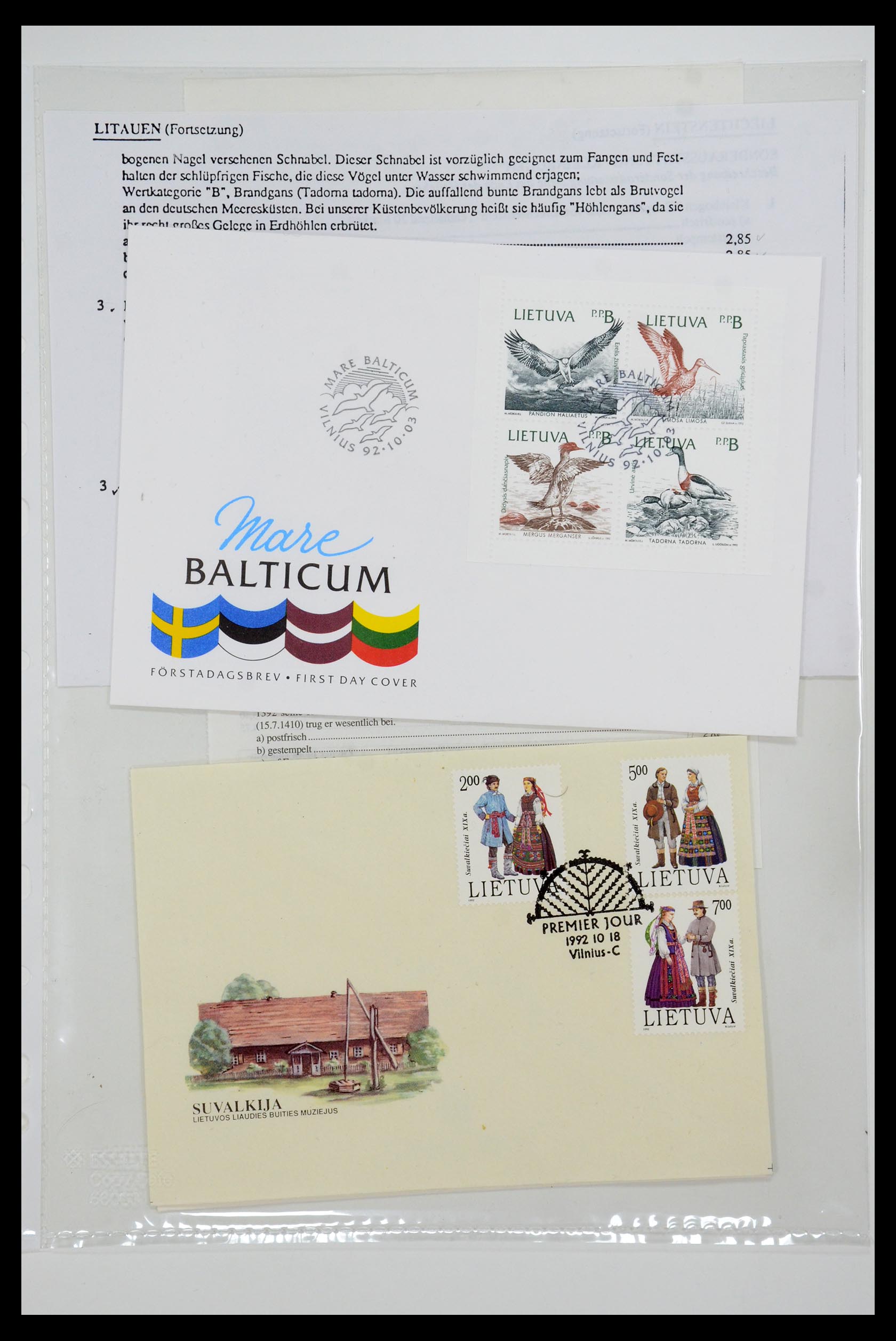 35556 024 - Postzegelverzameling 35556 Baltische Staten 1919-2000.