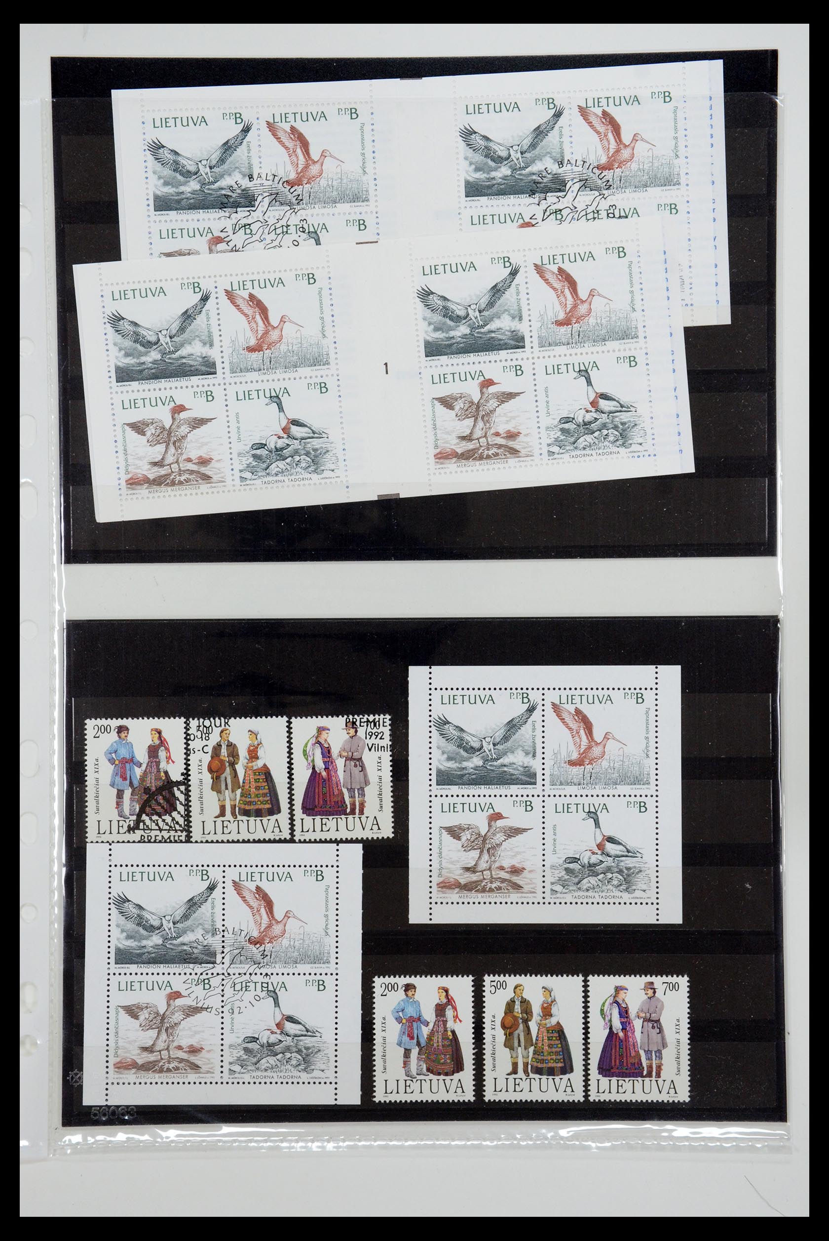 35556 042 - Postzegelverzameling 35556 Baltische Staten 1919-2000.