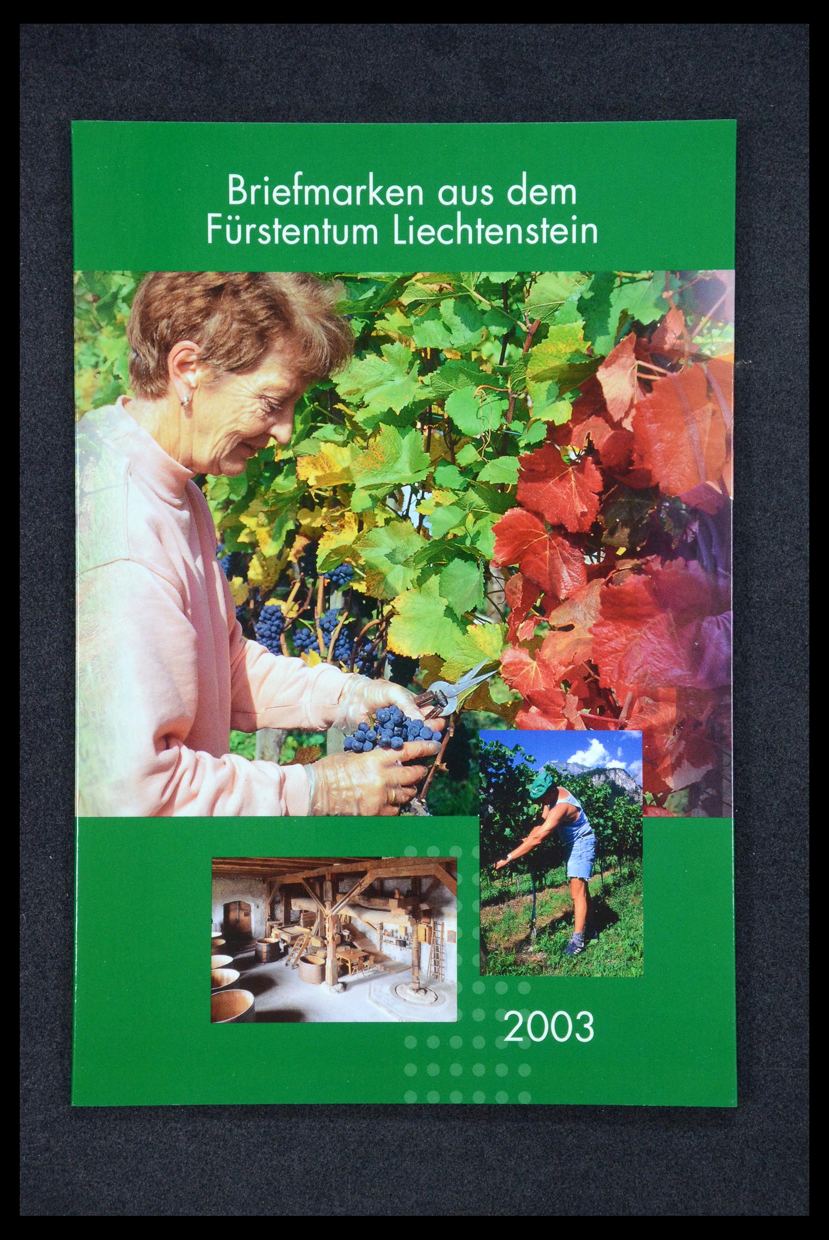 35586 238 - Stamp Collection 35586 Liechtenstein 1912-2021!