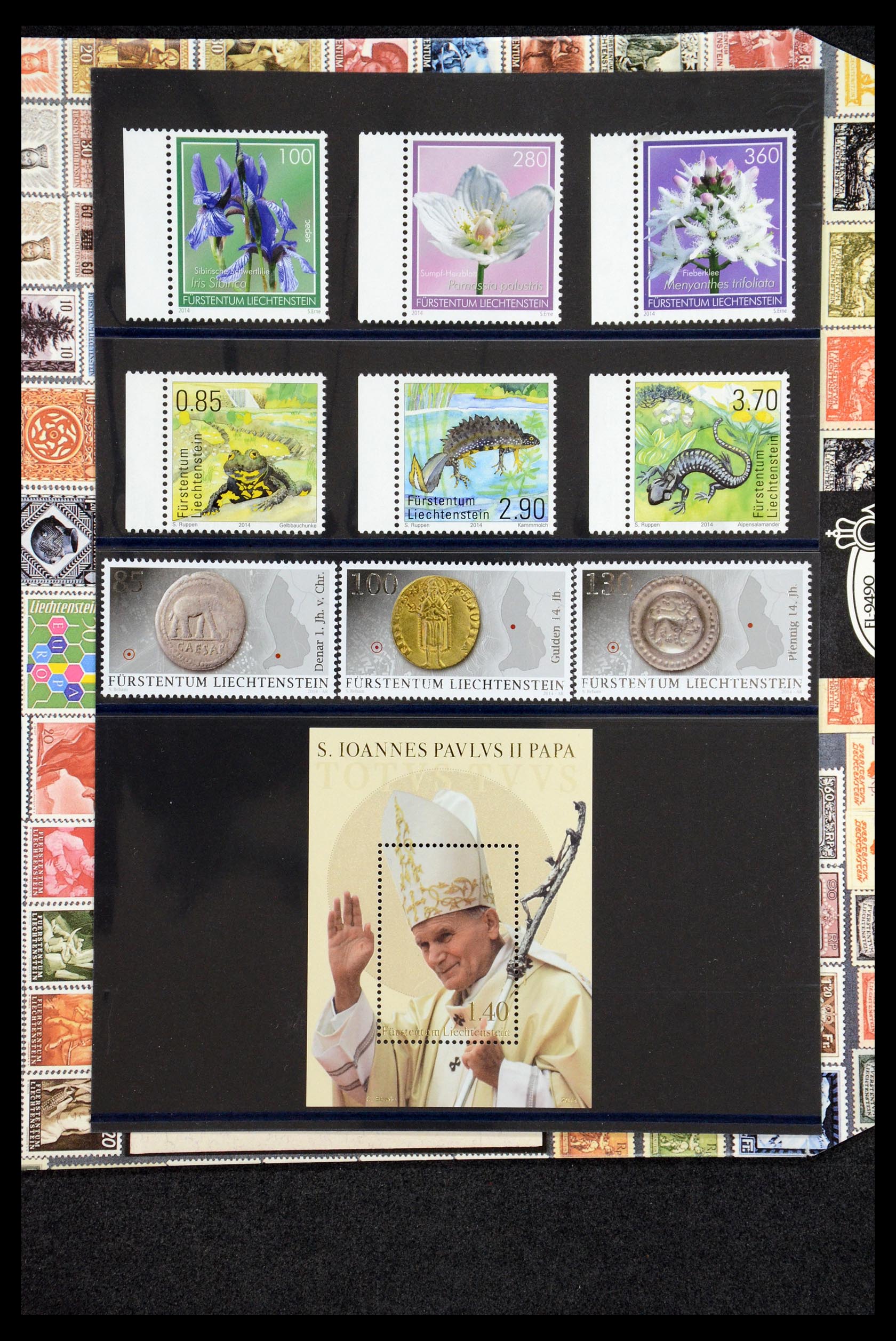 35586 255 - Stamp Collection 35586 Liechtenstein 1912-2021!