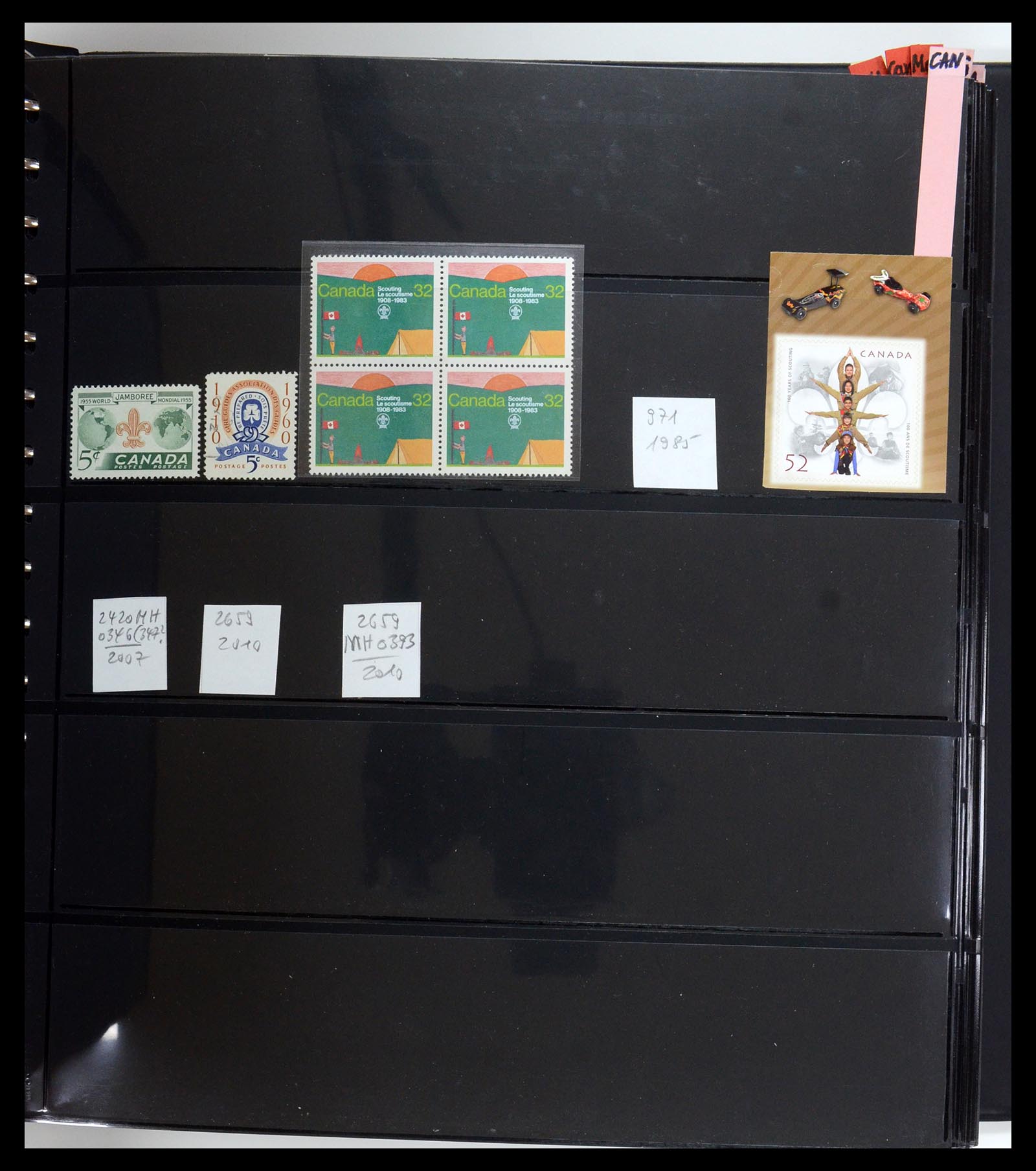 35591 020 - Postzegelverzameling 35591 Scouting 1920-2010.