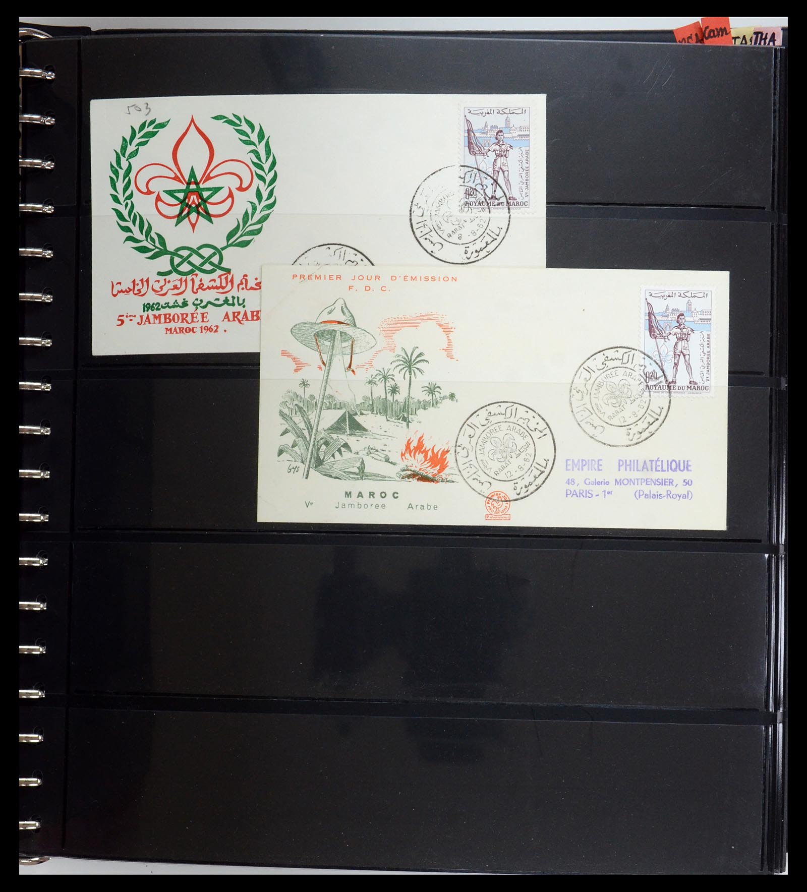 35591 025 - Postzegelverzameling 35591 Scouting 1920-2010.