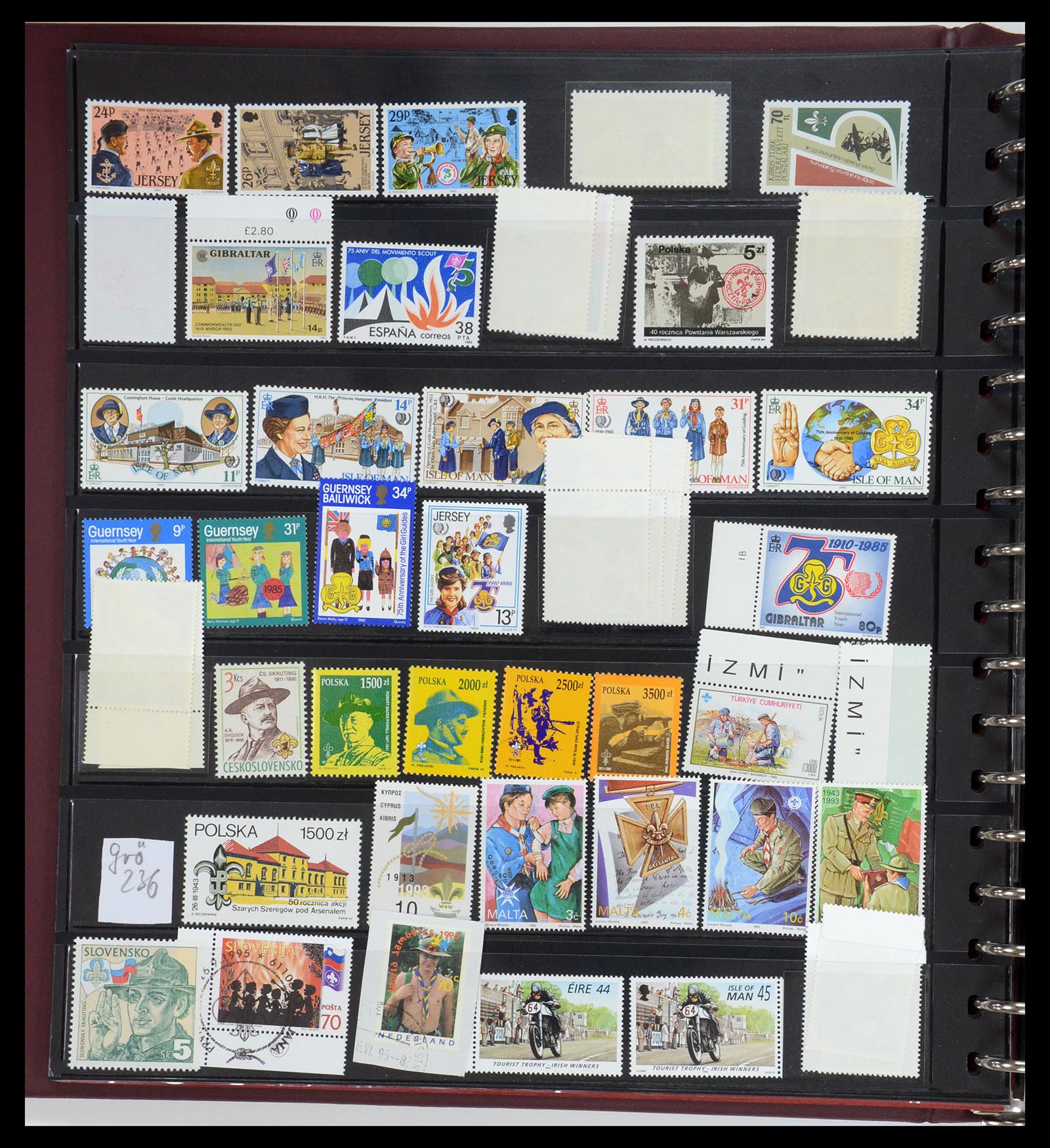 35591 068 - Postzegelverzameling 35591 Scouting 1920-2010.