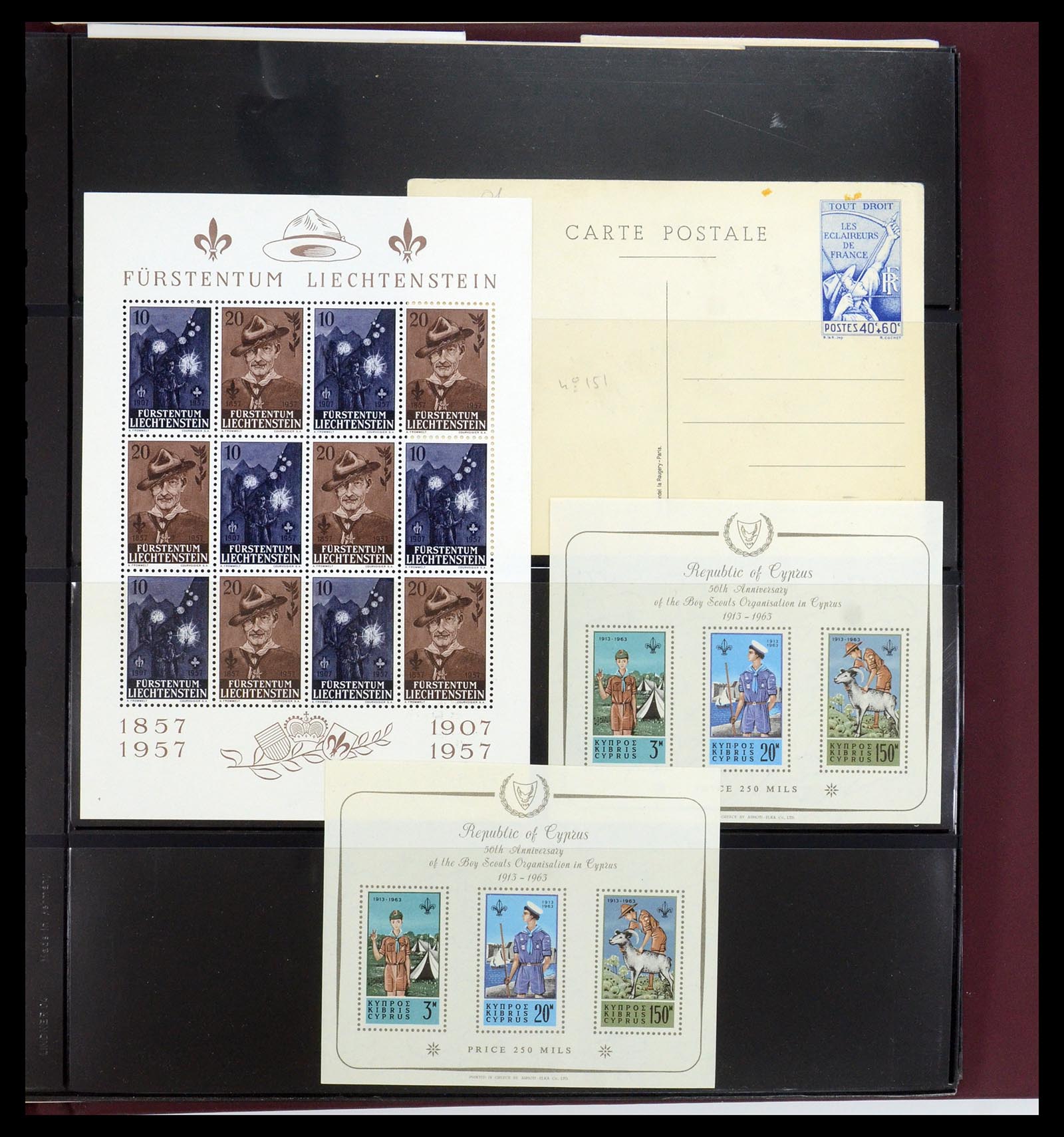 35591 076 - Postzegelverzameling 35591 Scouting 1920-2010.