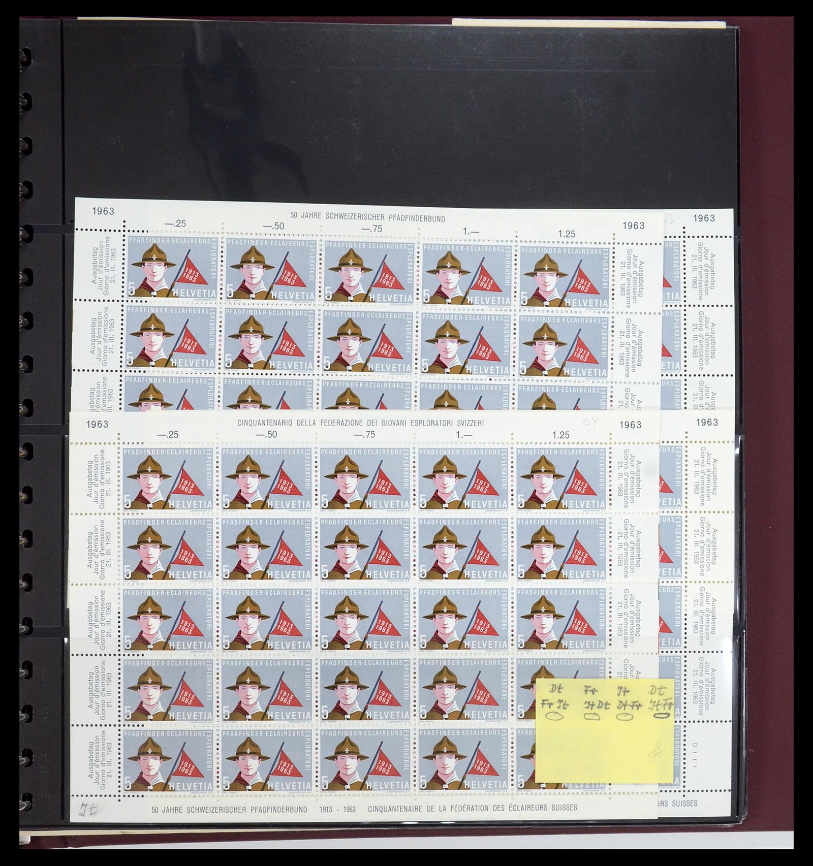 35591 078 - Postzegelverzameling 35591 Scouting 1920-2010.