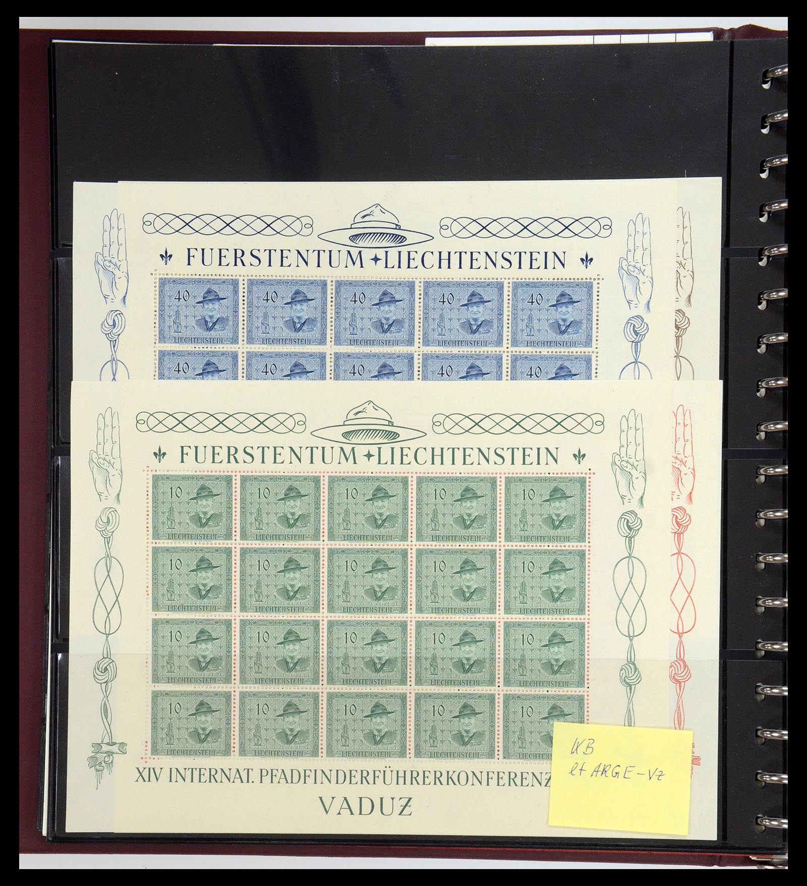 35591 079 - Postzegelverzameling 35591 Scouting 1920-2010.