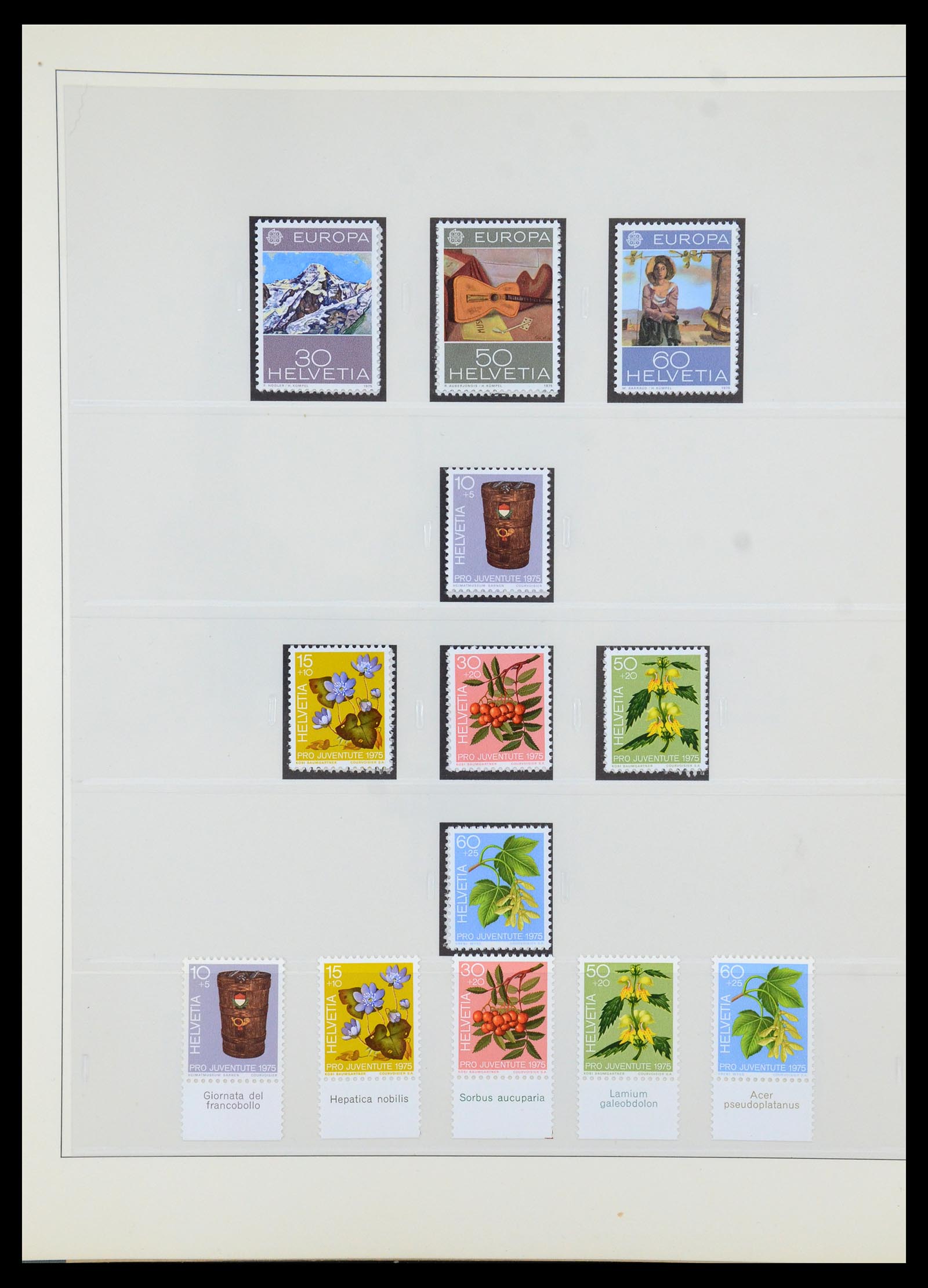 35605 151 - Postzegelverzameling 35605 Zwitserland 1851-1985.