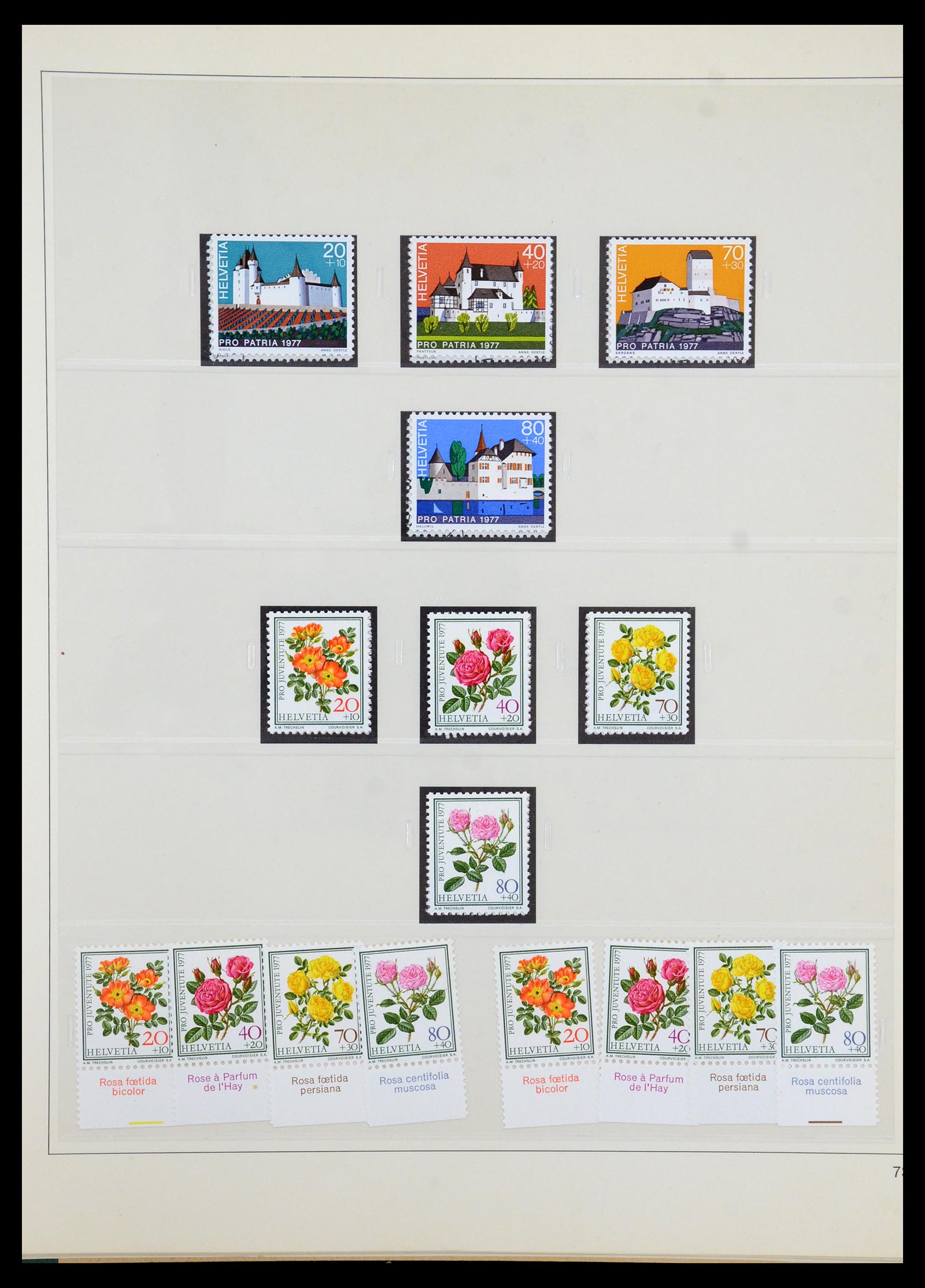 35605 159 - Stamp Collection 35605 Switzerland 1851-1985.
