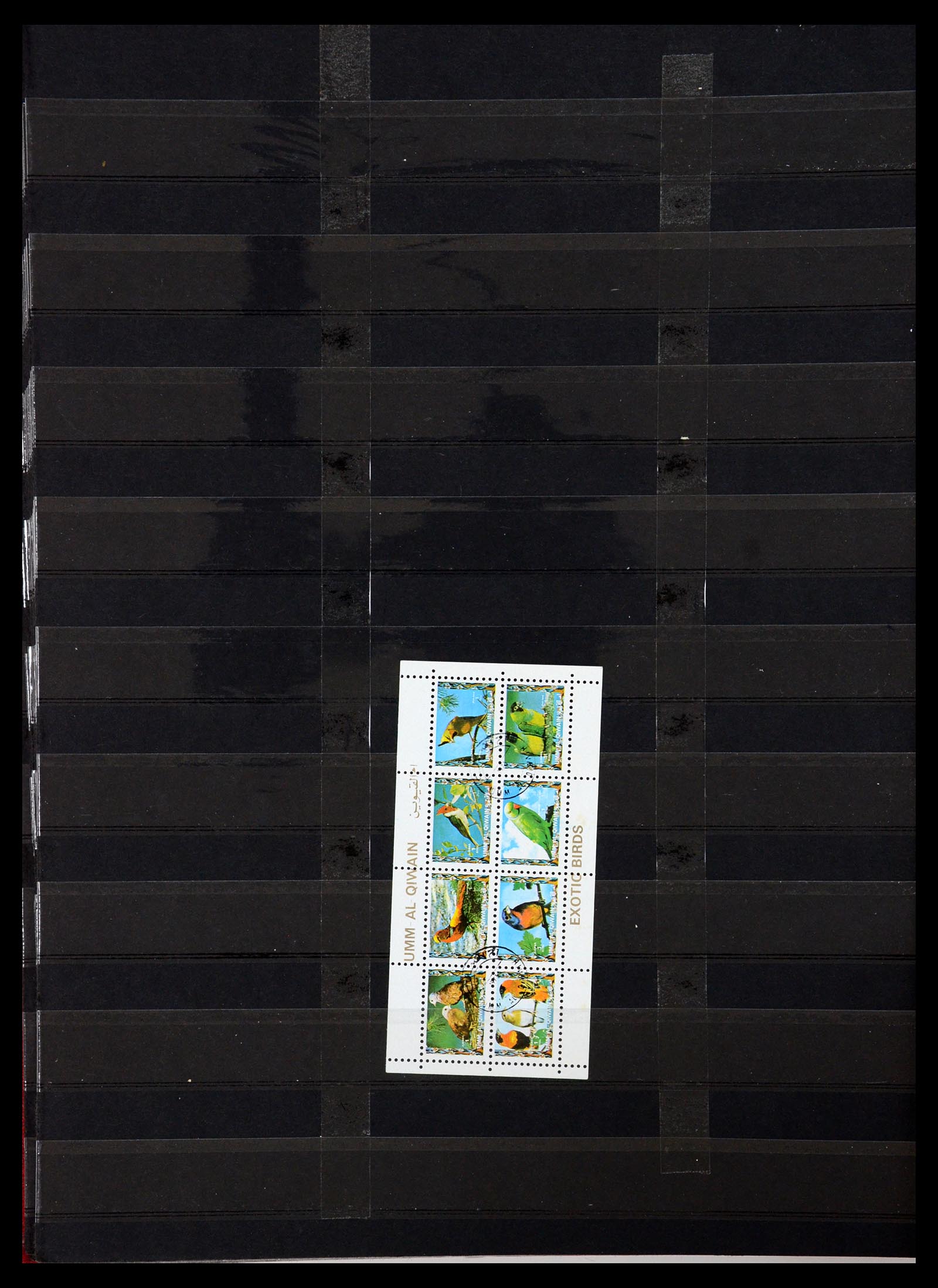 35636 686 - Postzegelverzameling 35636 Engelse koloniën.
