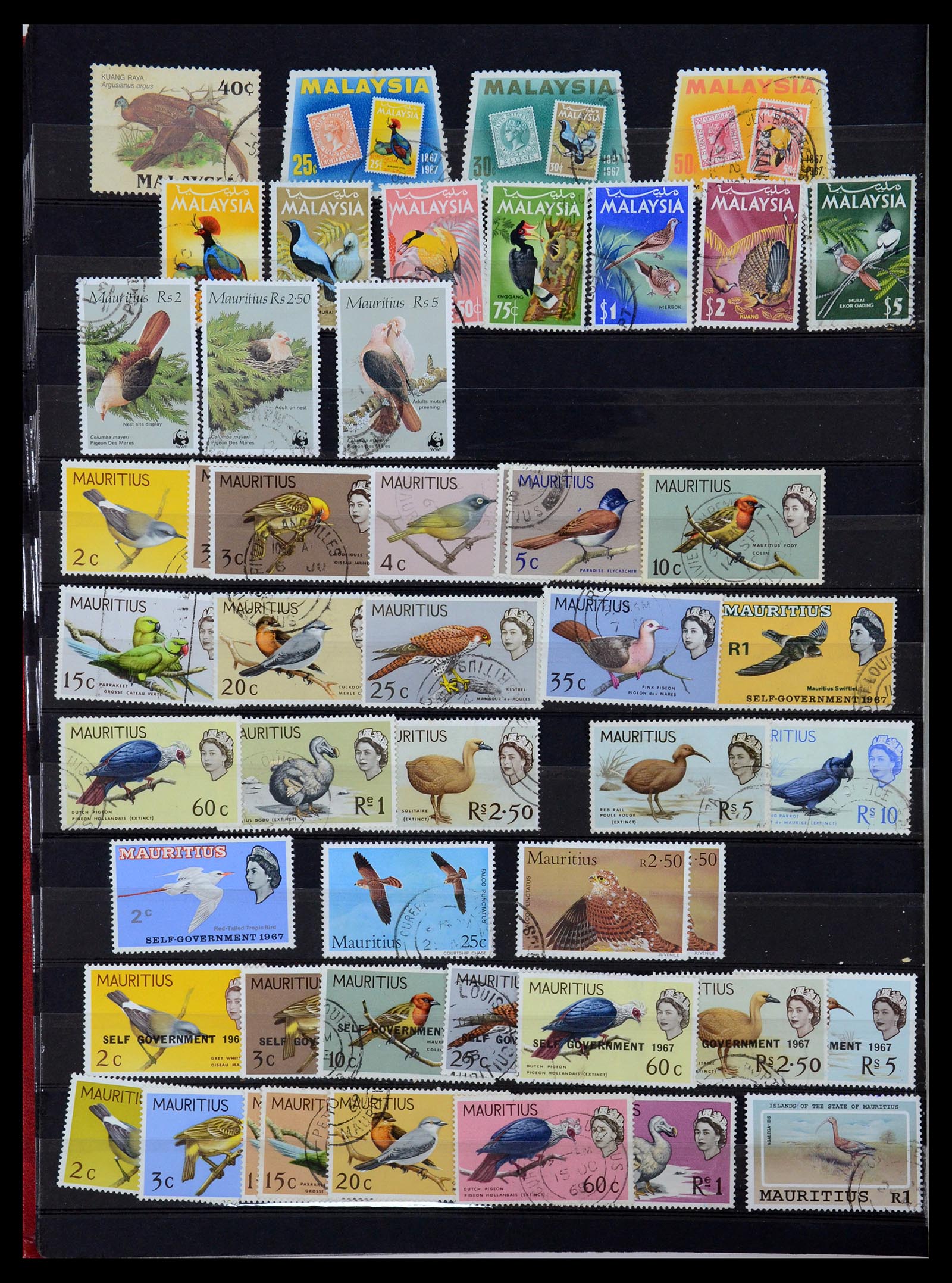 35636 687 - Postzegelverzameling 35636 Engelse koloniën.