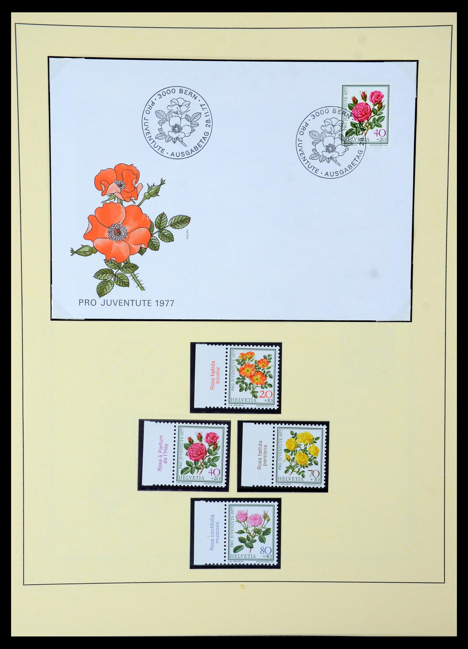35668 034 - Stamp Collection 35668 Switzerland Pro Juventute and Pro Patria 1910-197