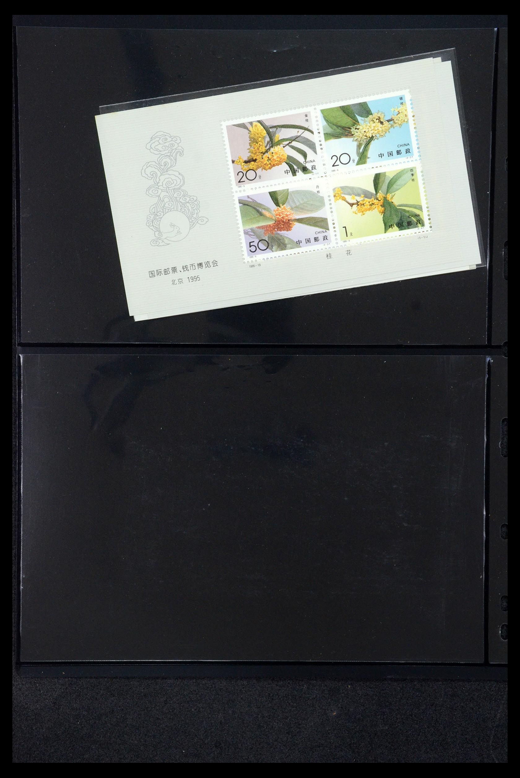 35670 217 - Postzegelverzameling 35670 China 1955-2010.