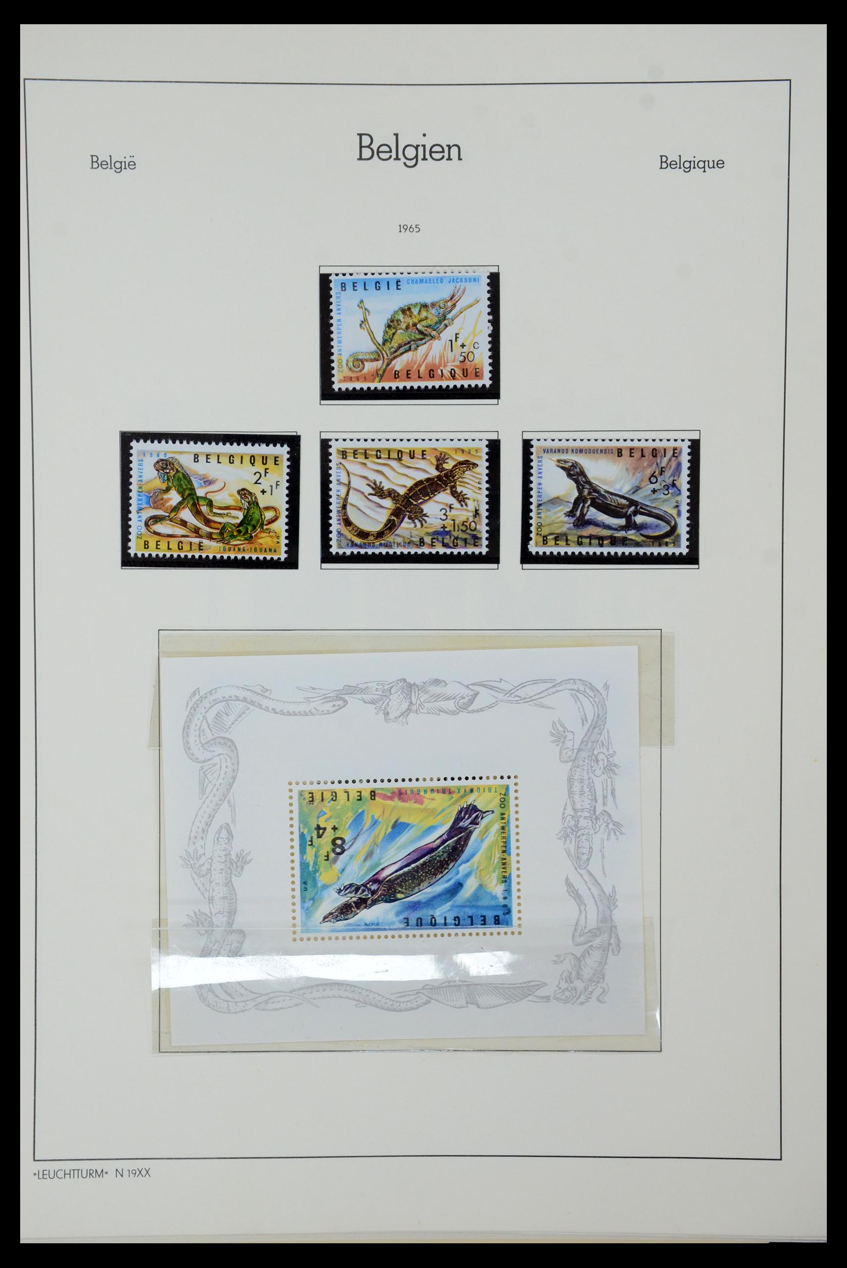35678 193 - Stamp Collection 35678 Belgium 1851-1965.