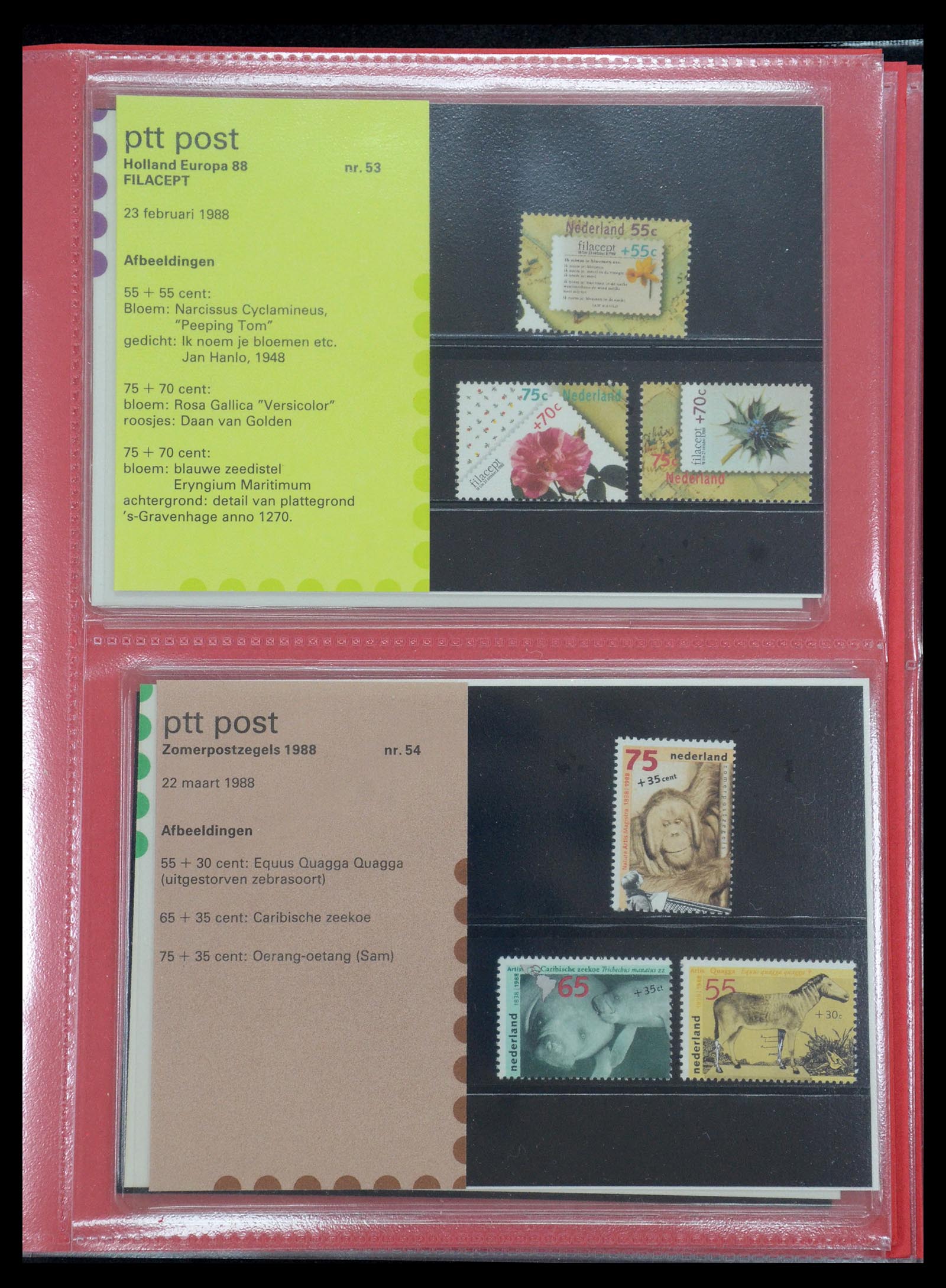 35692 027 - Stamp Collection 35692 Netherlands presentation packs 1982-2021!!