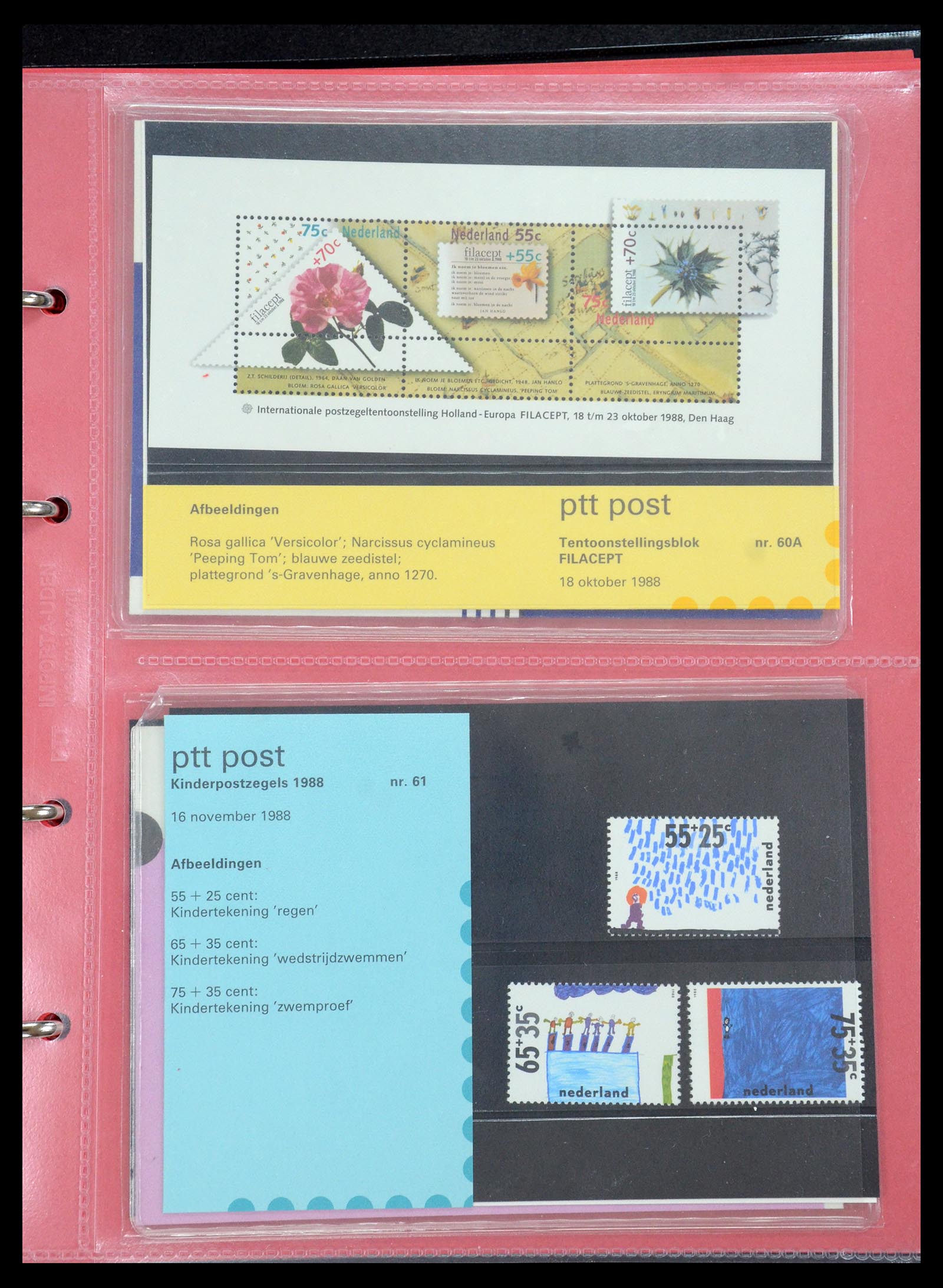 35692 031 - Stamp Collection 35692 Netherlands presentation packs 1982-2021!!