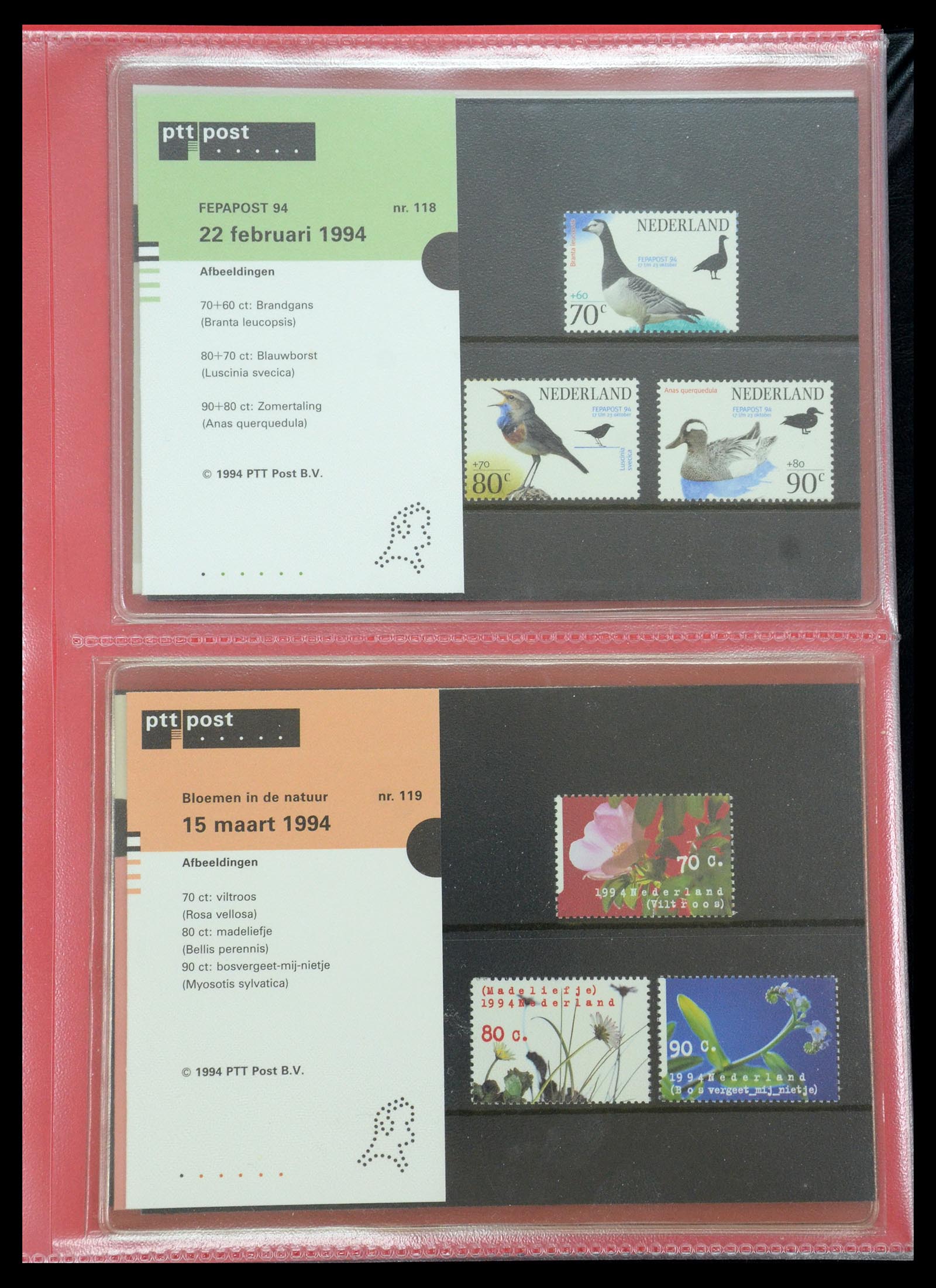35692 061 - Stamp Collection 35692 Netherlands presentation packs 1982-2021!!