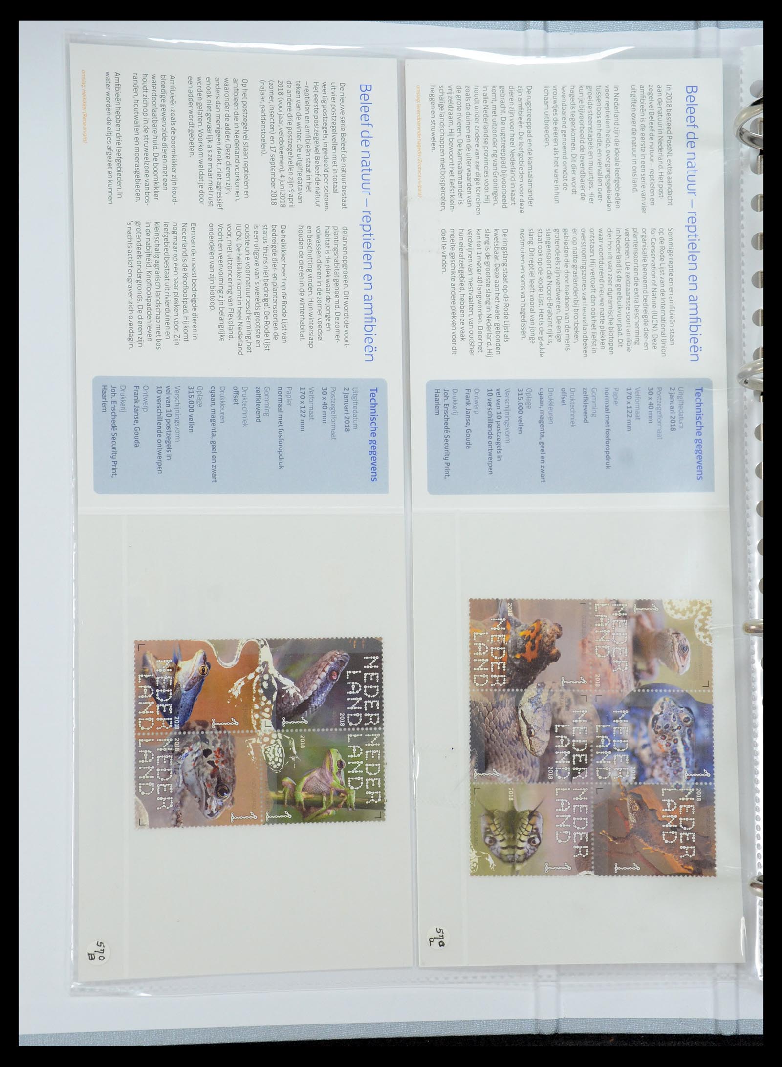 35692 344 - Stamp Collection 35692 Netherlands presentation packs 1982-2021!!