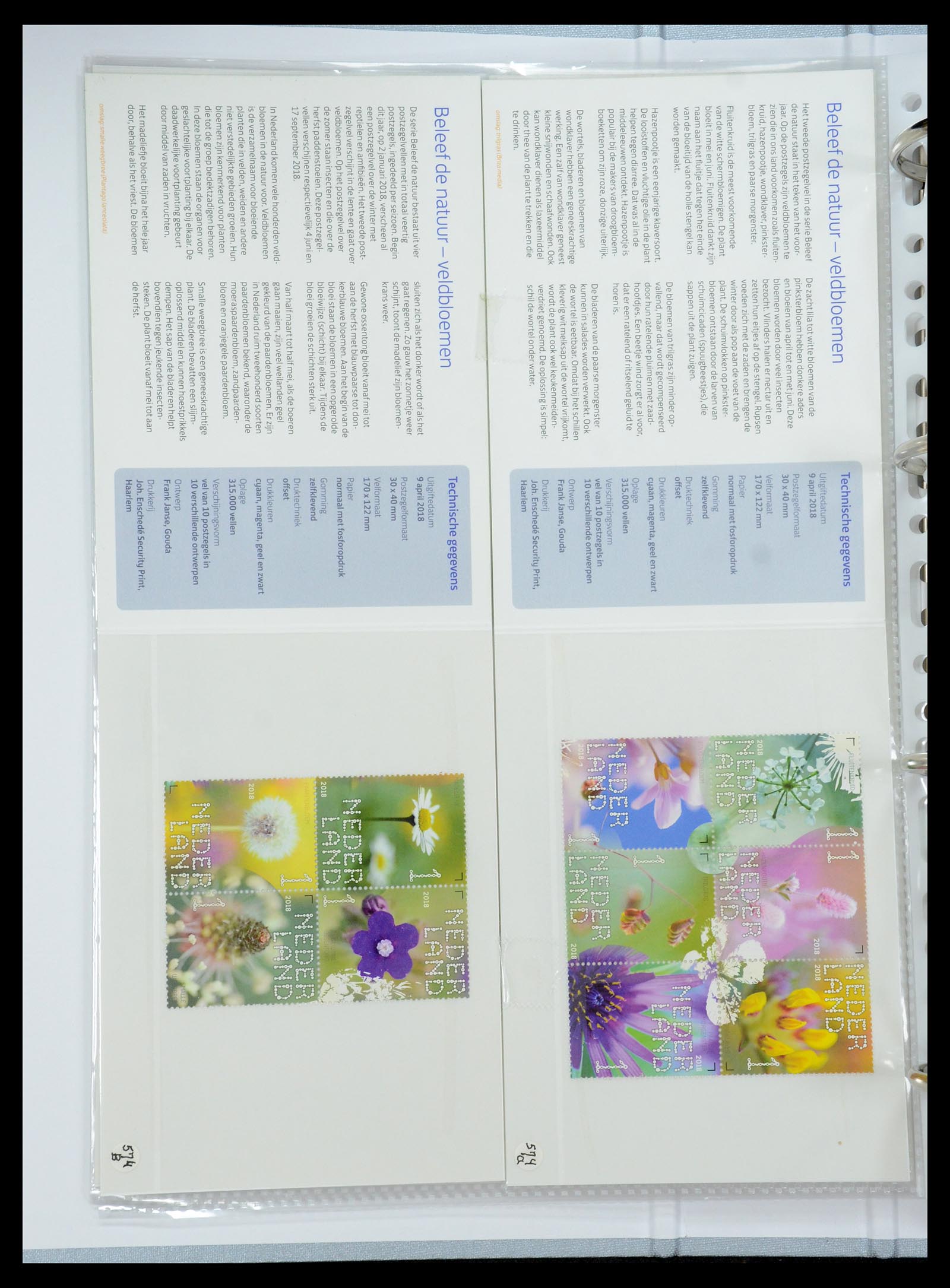 35692 347 - Stamp Collection 35692 Netherlands presentation packs 1982-2021!!